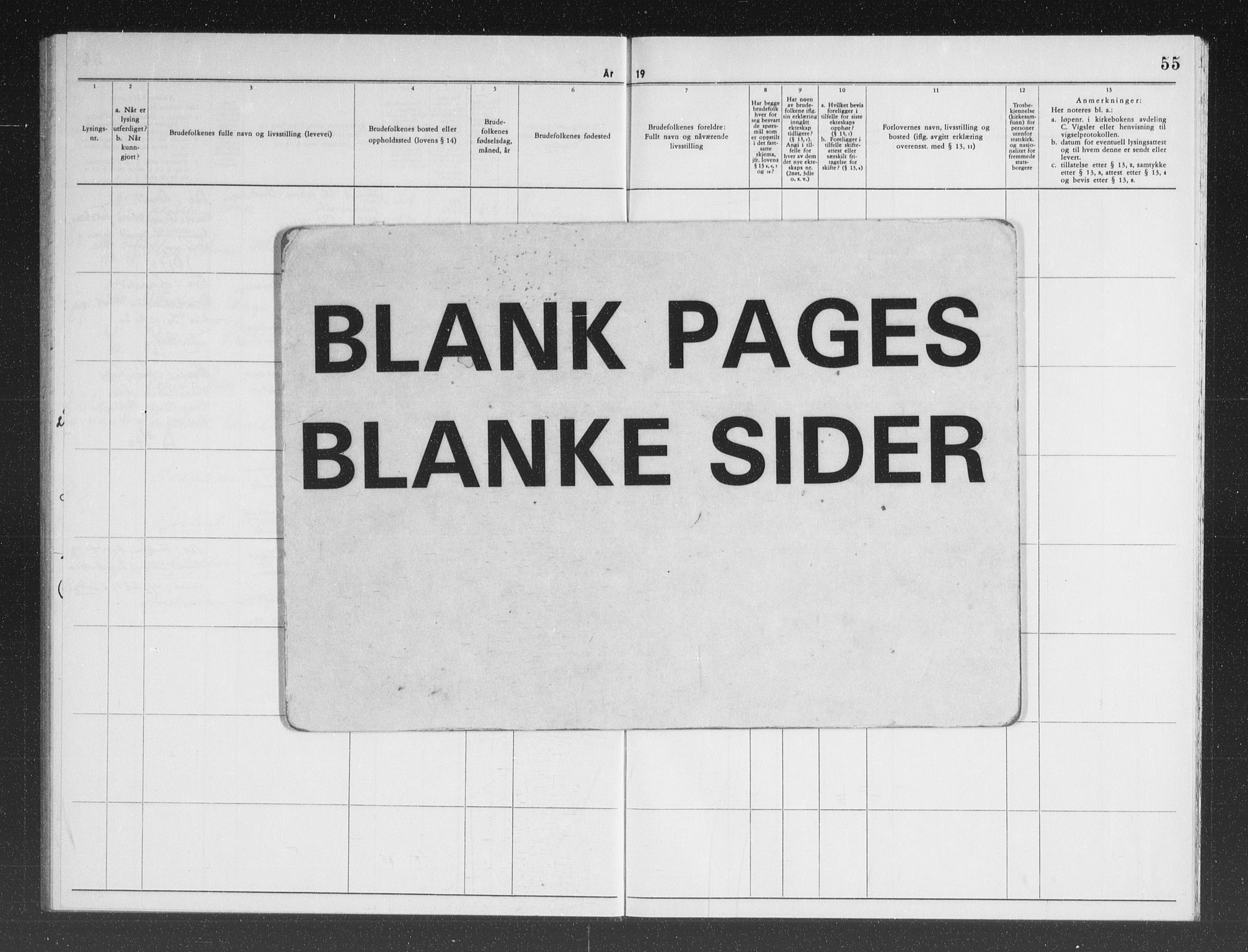 Larvik kirkebøker, AV/SAKO-A-352/H/Ha/L0009: Banns register no. 9, 1964-1969, p. 55