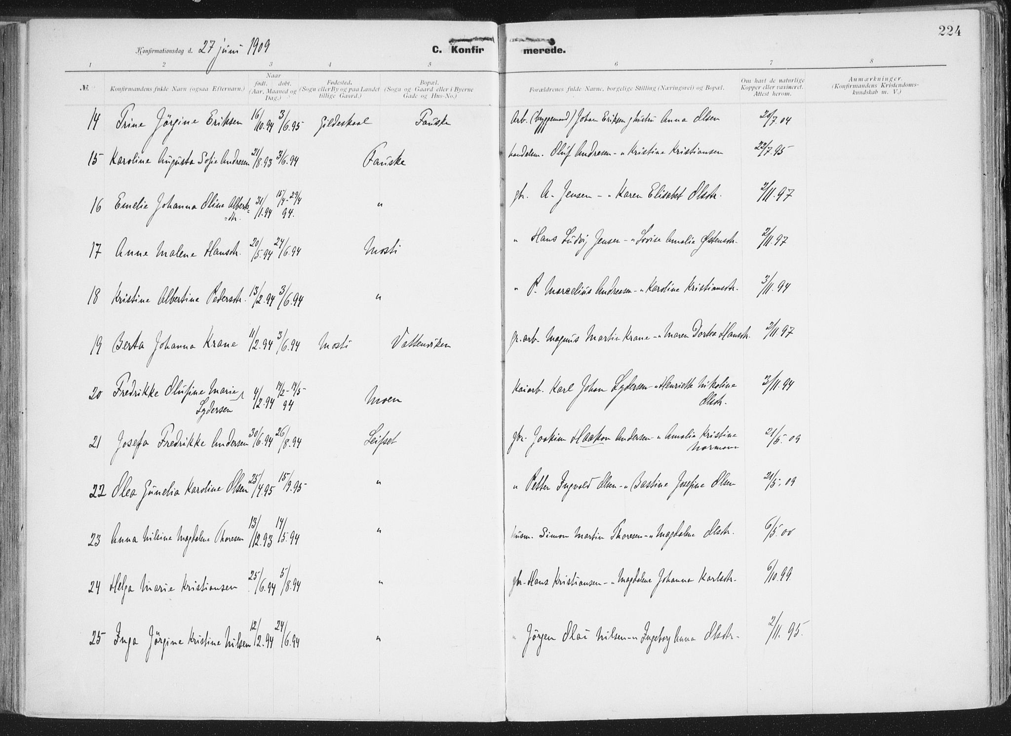 Ministerialprotokoller, klokkerbøker og fødselsregistre - Nordland, AV/SAT-A-1459/849/L0696: Parish register (official) no. 849A08, 1898-1910, p. 224