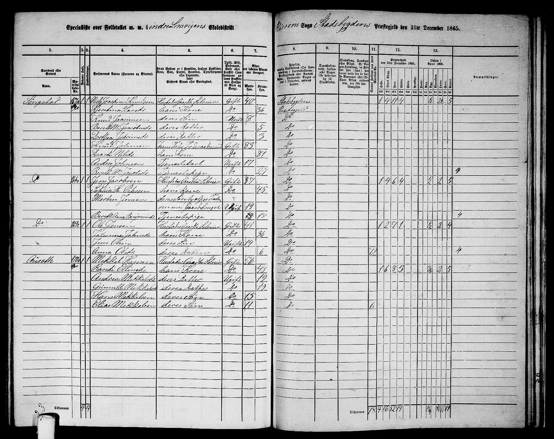 RA, 1865 census for Stadsbygd, 1865, p. 200