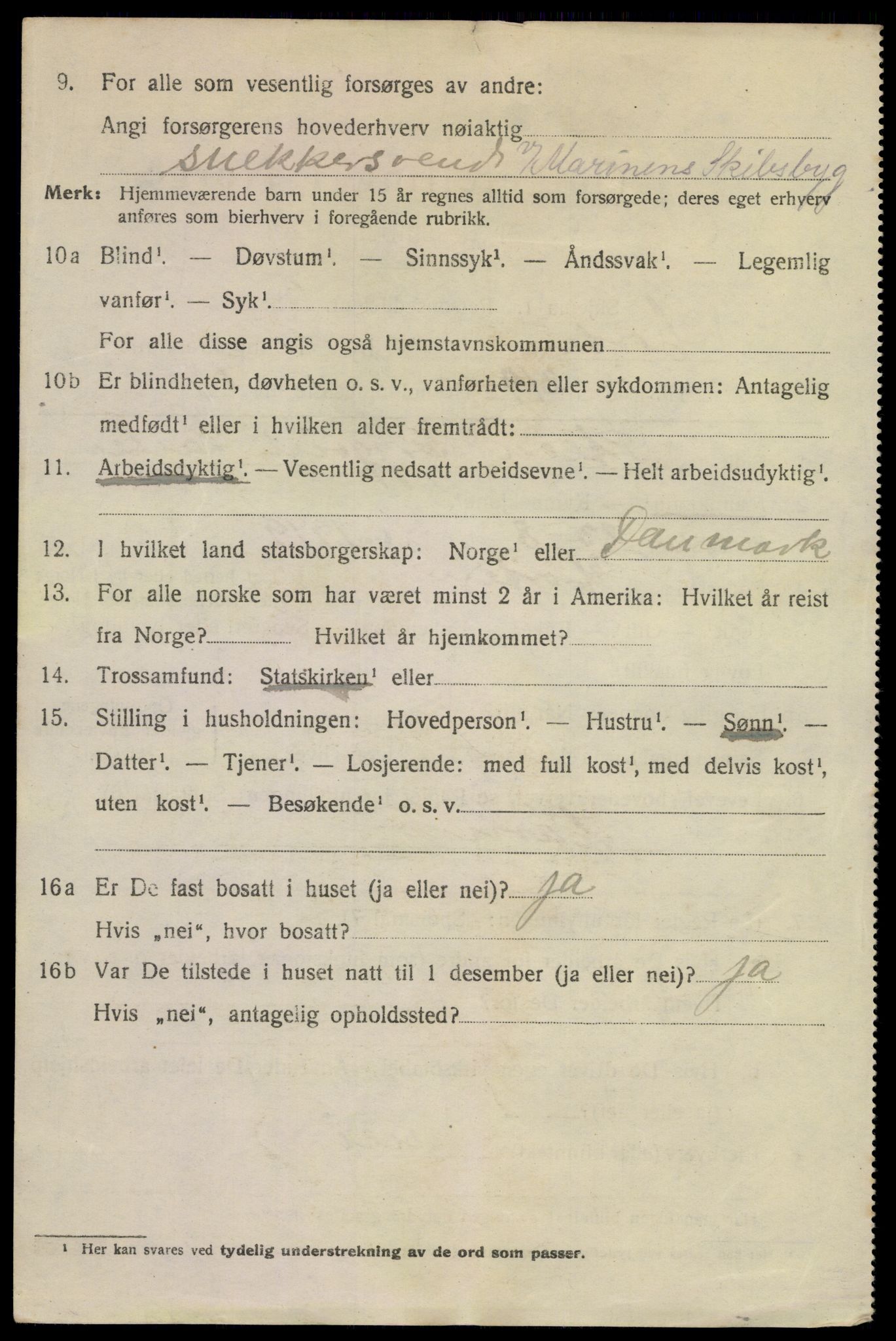 SAKO, 1920 census for Horten, 1920, p. 13458