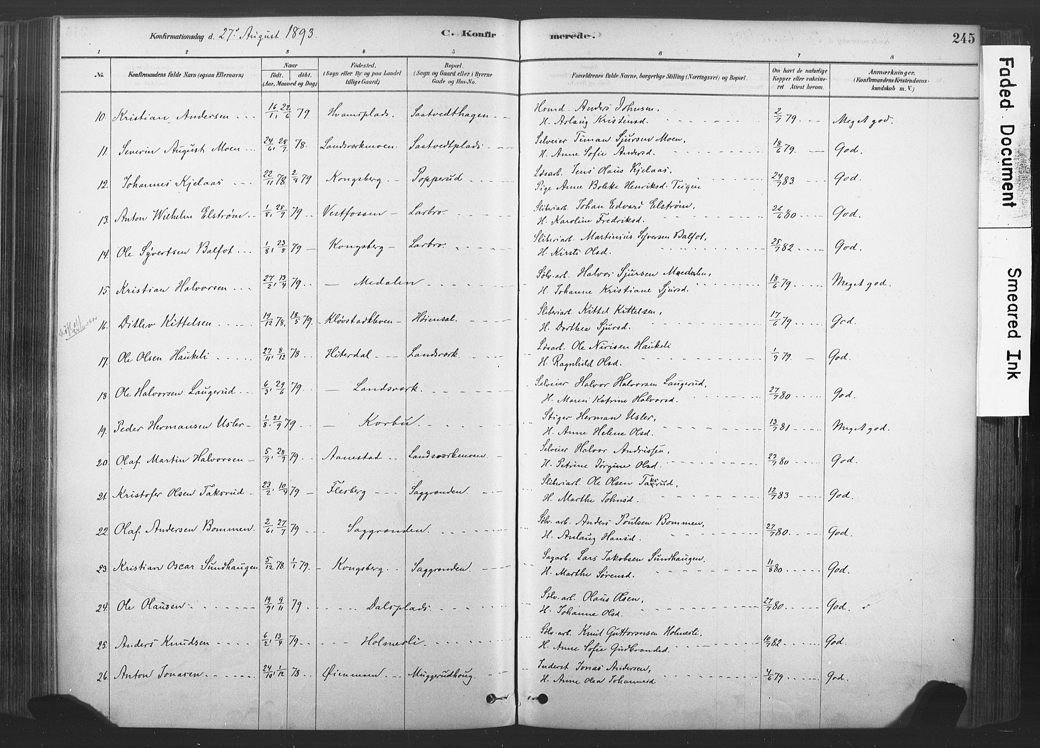 Sandsvær kirkebøker, SAKO/A-244/F/Fd/L0001: Parish register (official) no. IV 1, 1878-1906, p. 245