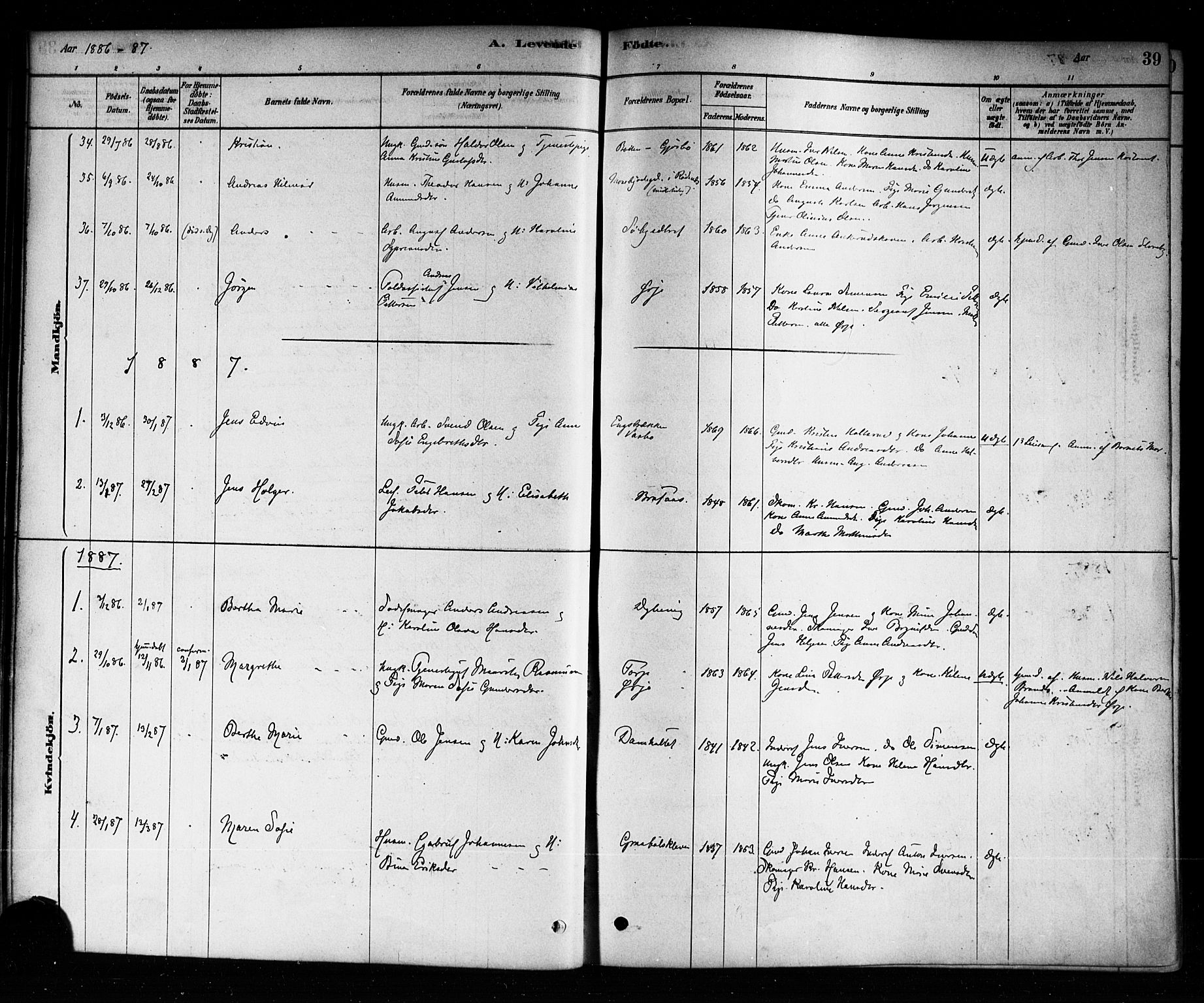 Aremark prestekontor Kirkebøker, AV/SAO-A-10899/F/Fb/L0004: Parish register (official) no. II 4, 1878-1895, p. 39