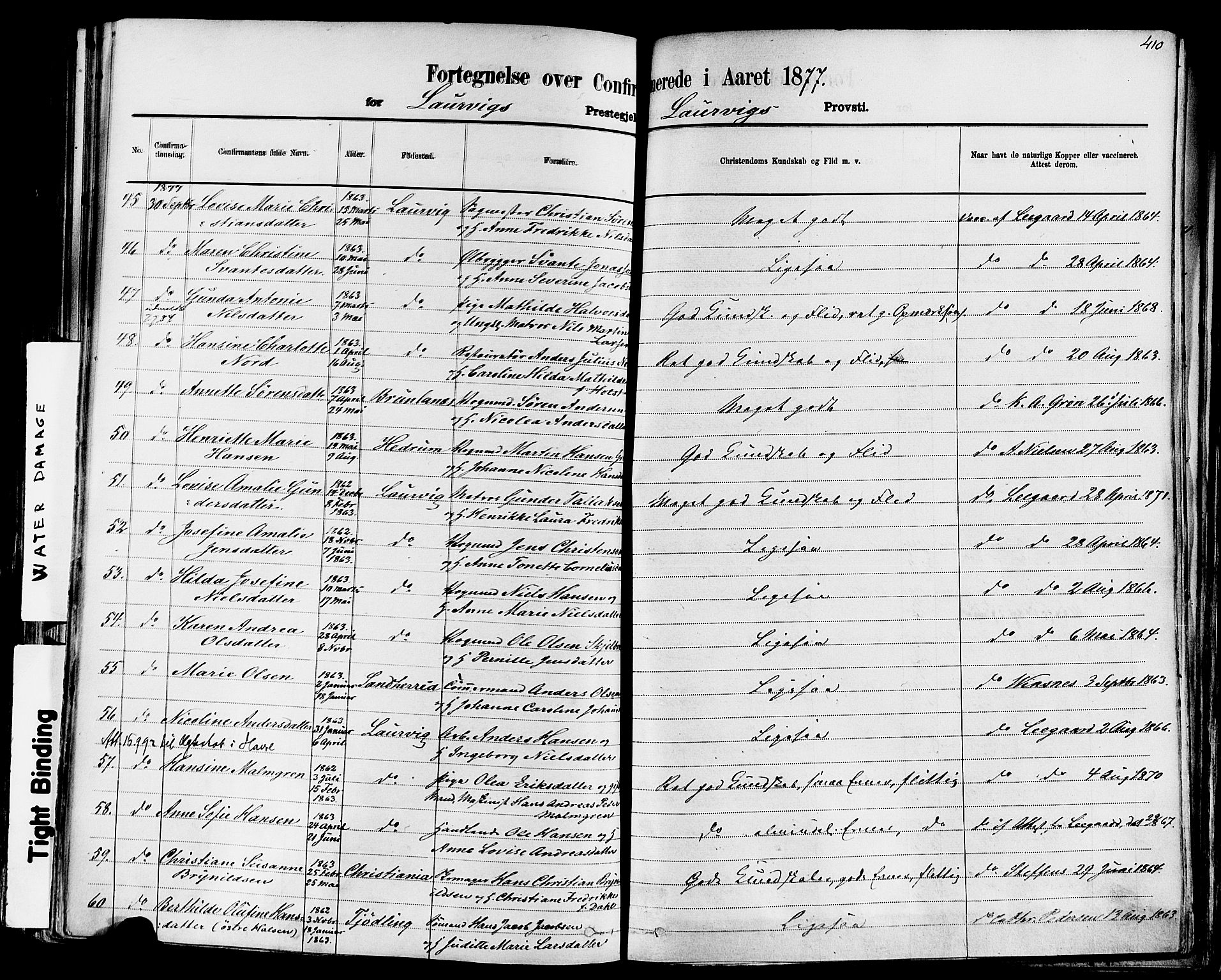 Larvik kirkebøker, AV/SAKO-A-352/F/Fa/L0006: Parish register (official) no. I 6, 1871-1883, p. 410