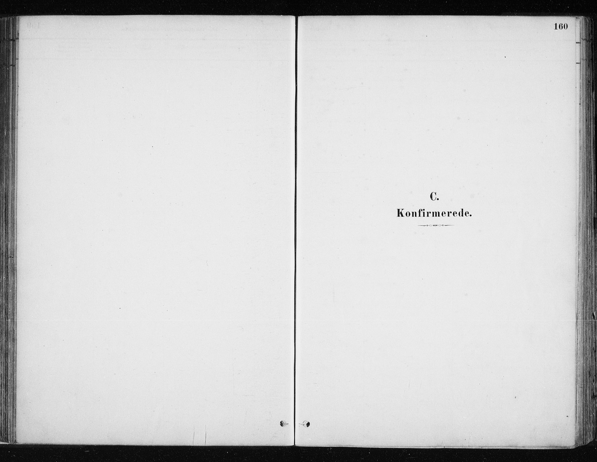 Lyngen sokneprestembete, SATØ/S-1289/H/He/Hea/L0007kirke: Parish register (official) no. 7, 1879-1890, p. 160
