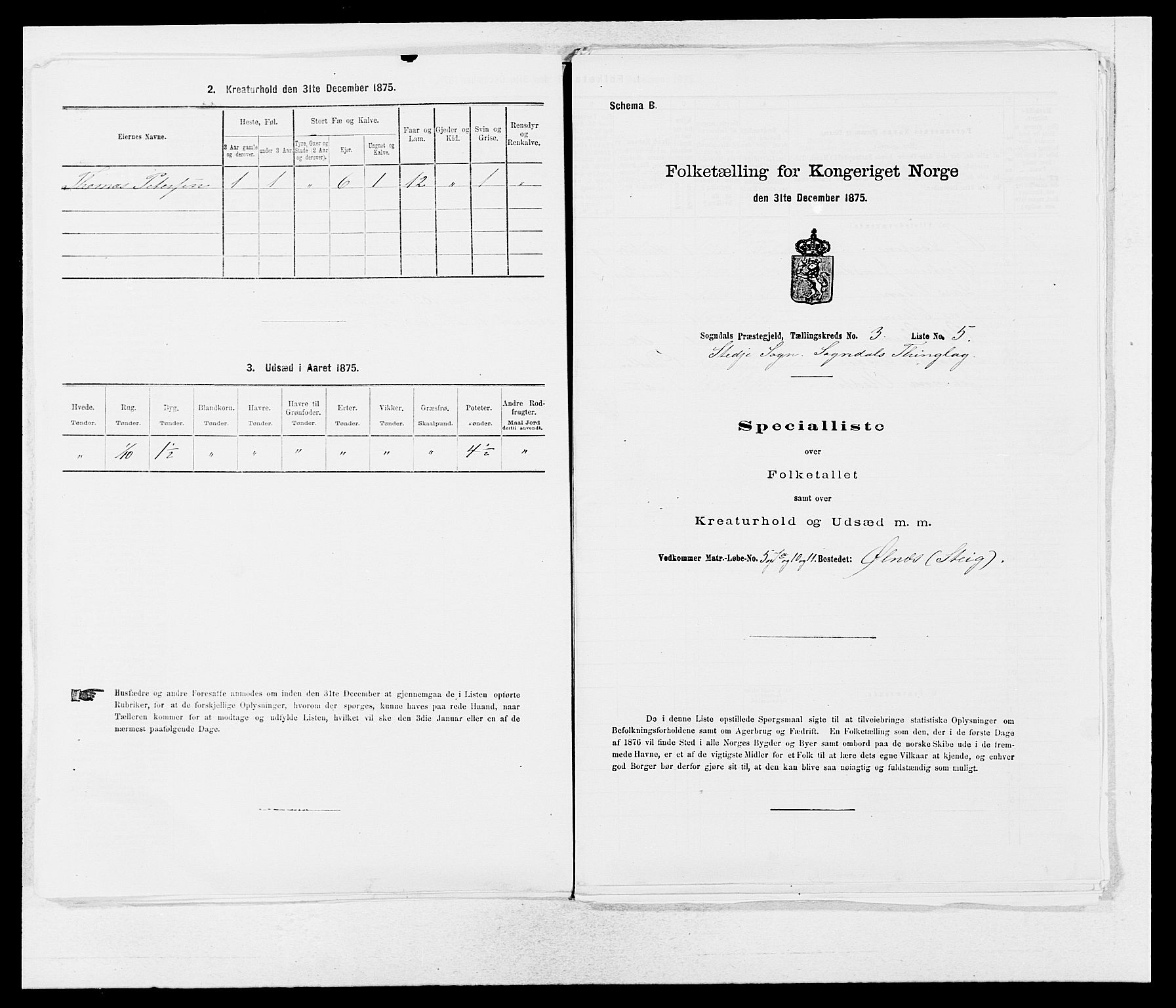 SAB, 1875 census for 1420P Sogndal, 1875, p. 214