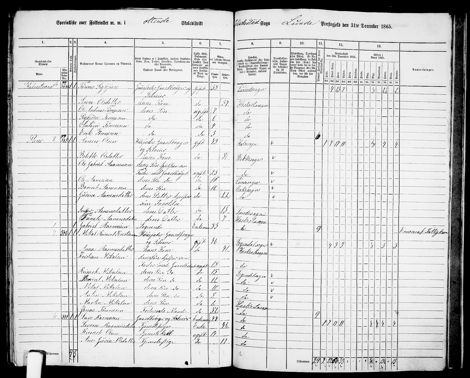 RA, 1865 census for Lund, 1865, p. 98