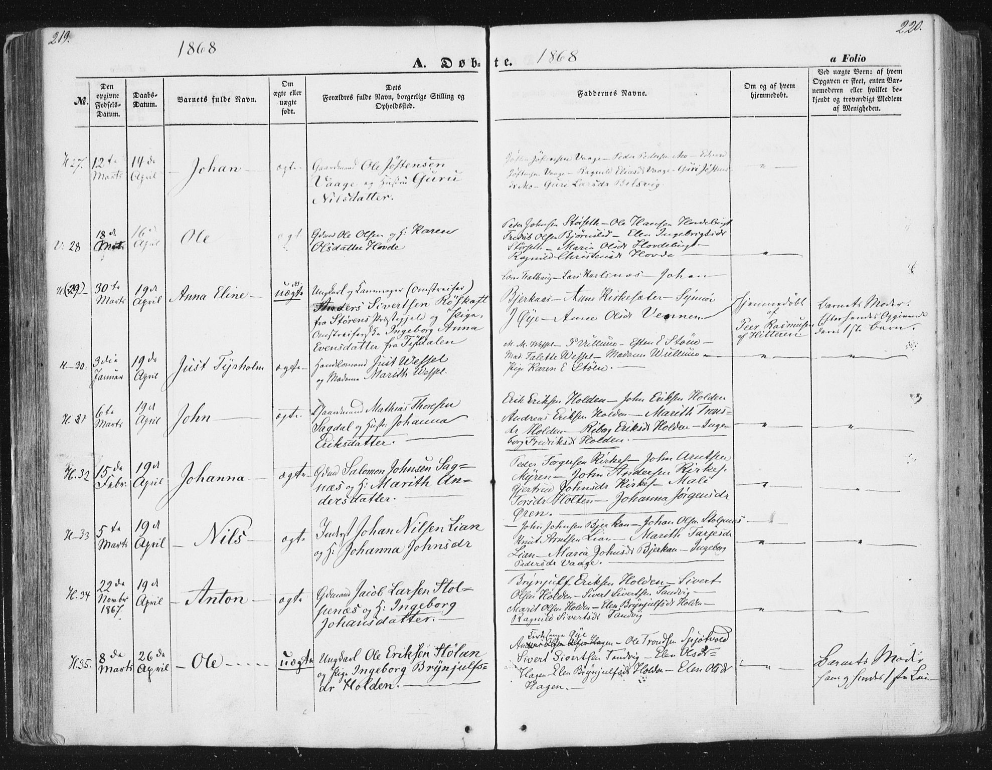 Ministerialprotokoller, klokkerbøker og fødselsregistre - Sør-Trøndelag, AV/SAT-A-1456/630/L0494: Parish register (official) no. 630A07, 1852-1868, p. 219-220