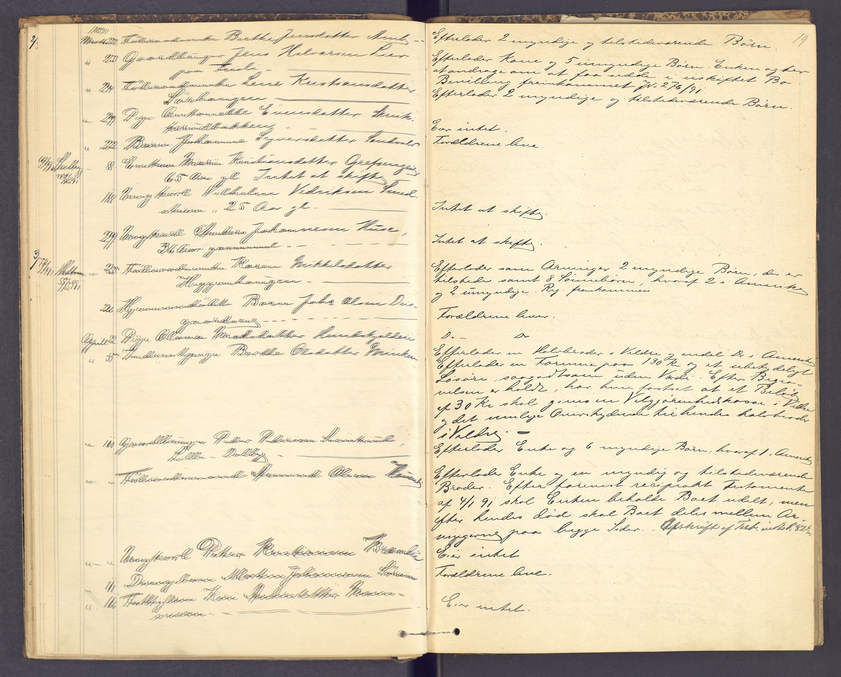 Nord-Hedmark sorenskriveri, AV/SAH-TING-012/J/Ji/L0003: Dødsfallsprotokoll, 1889-1895, p. 19