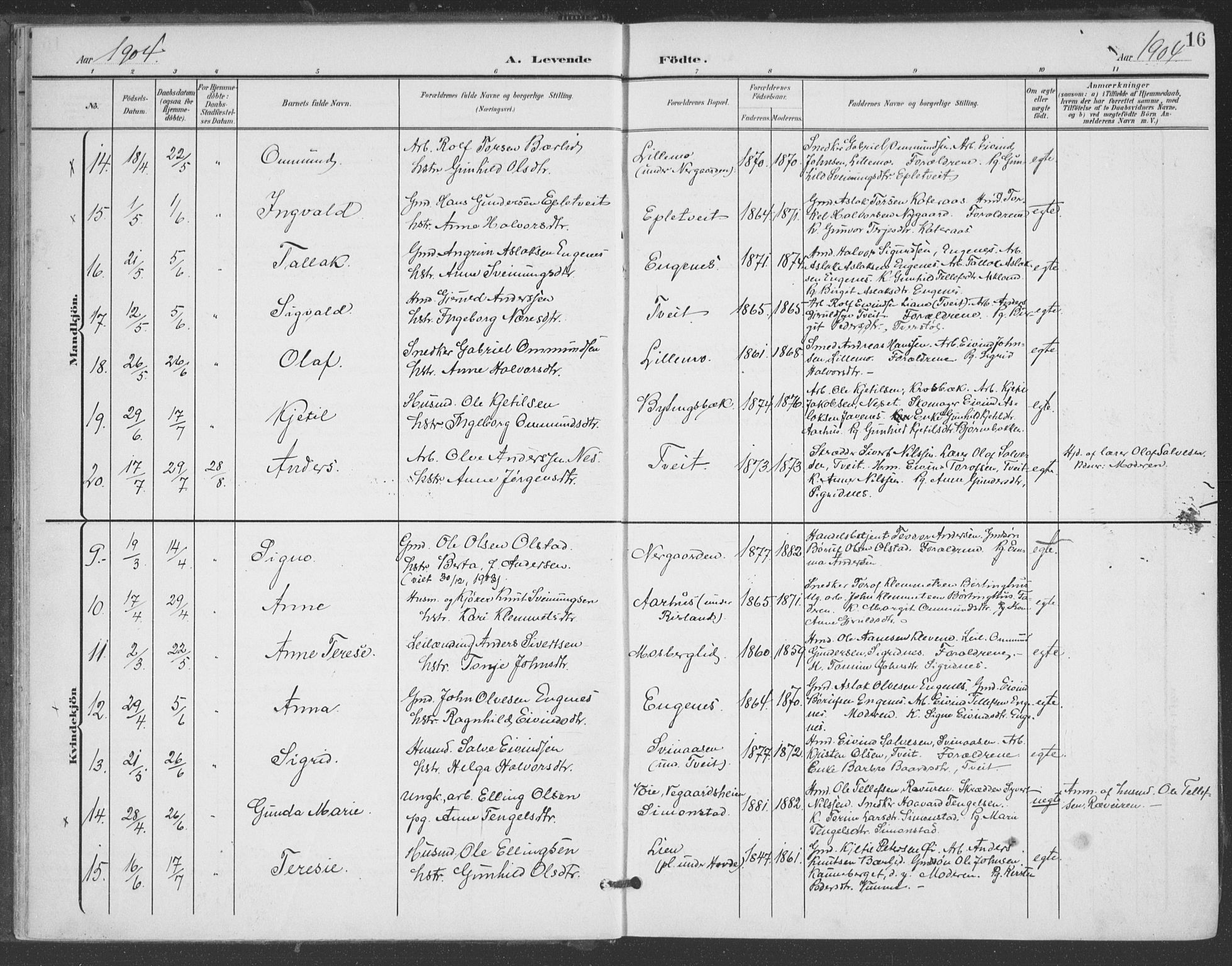 Åmli sokneprestkontor, AV/SAK-1111-0050/F/Fa/Fac/L0012: Parish register (official) no. A 12, 1900-1914, p. 16