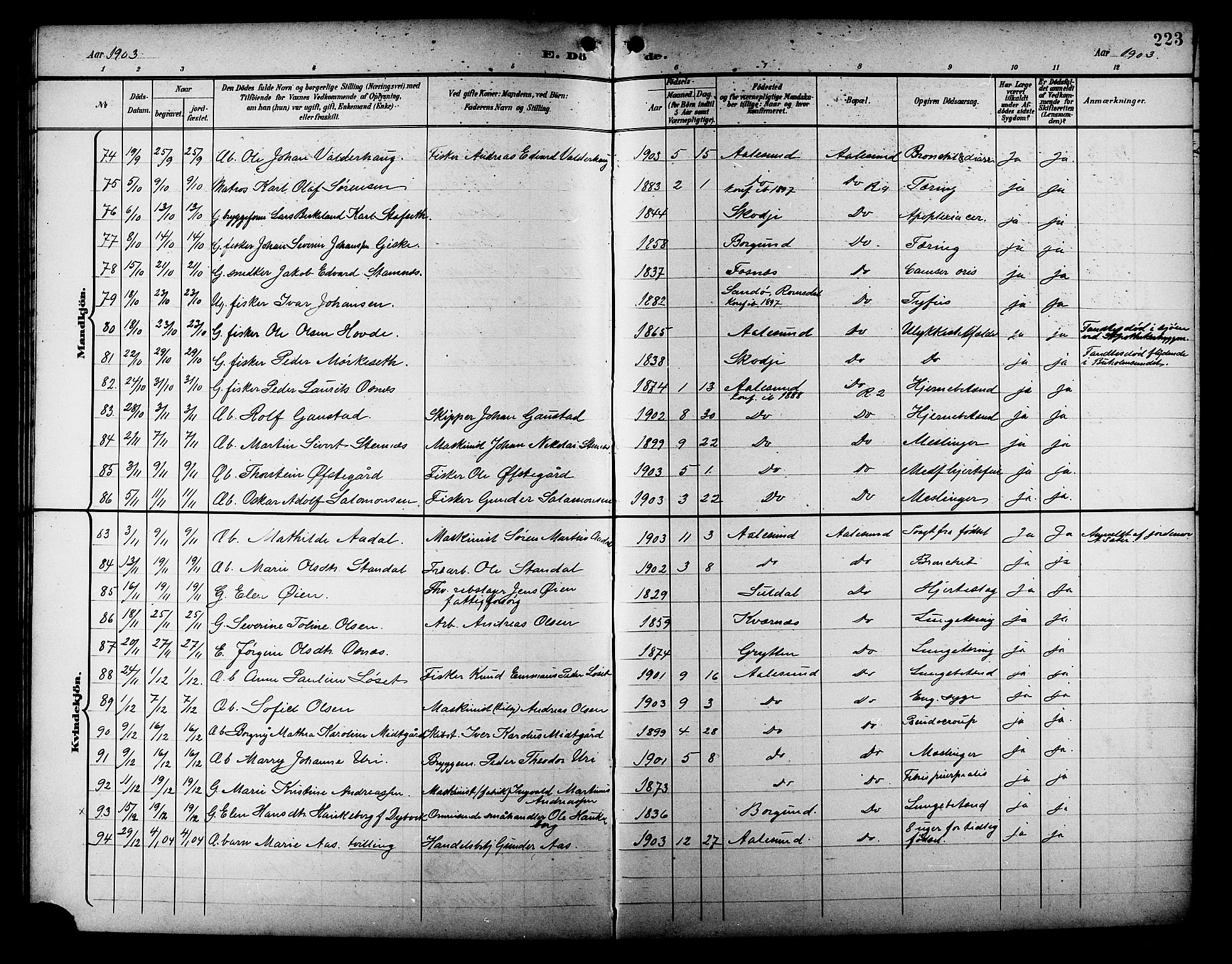 Ministerialprotokoller, klokkerbøker og fødselsregistre - Møre og Romsdal, AV/SAT-A-1454/529/L0469: Parish register (copy) no. 529C06, 1898-1906, p. 223