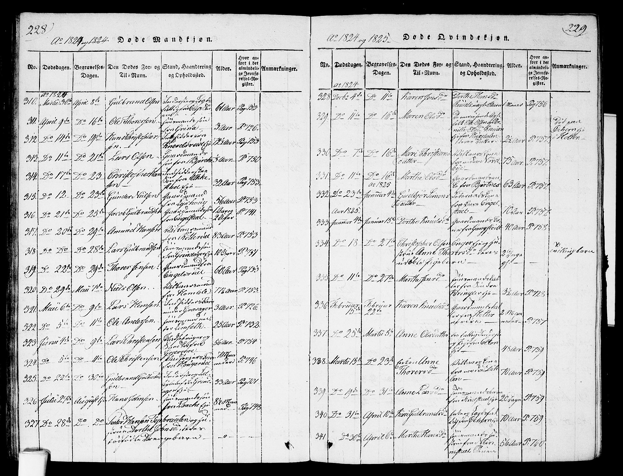 Nannestad prestekontor Kirkebøker, SAO/A-10414a/G/Ga/L0001: Parish register (copy) no. I 1, 1815-1839, p. 228-229