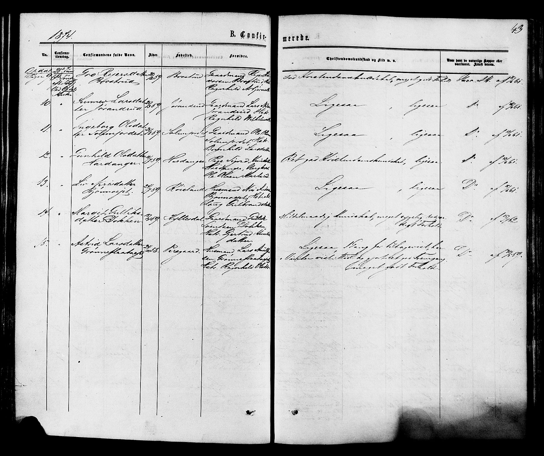 Nore kirkebøker, AV/SAKO-A-238/F/Fa/L0004: Parish register (official) no. I 4, 1867-1877, p. 43