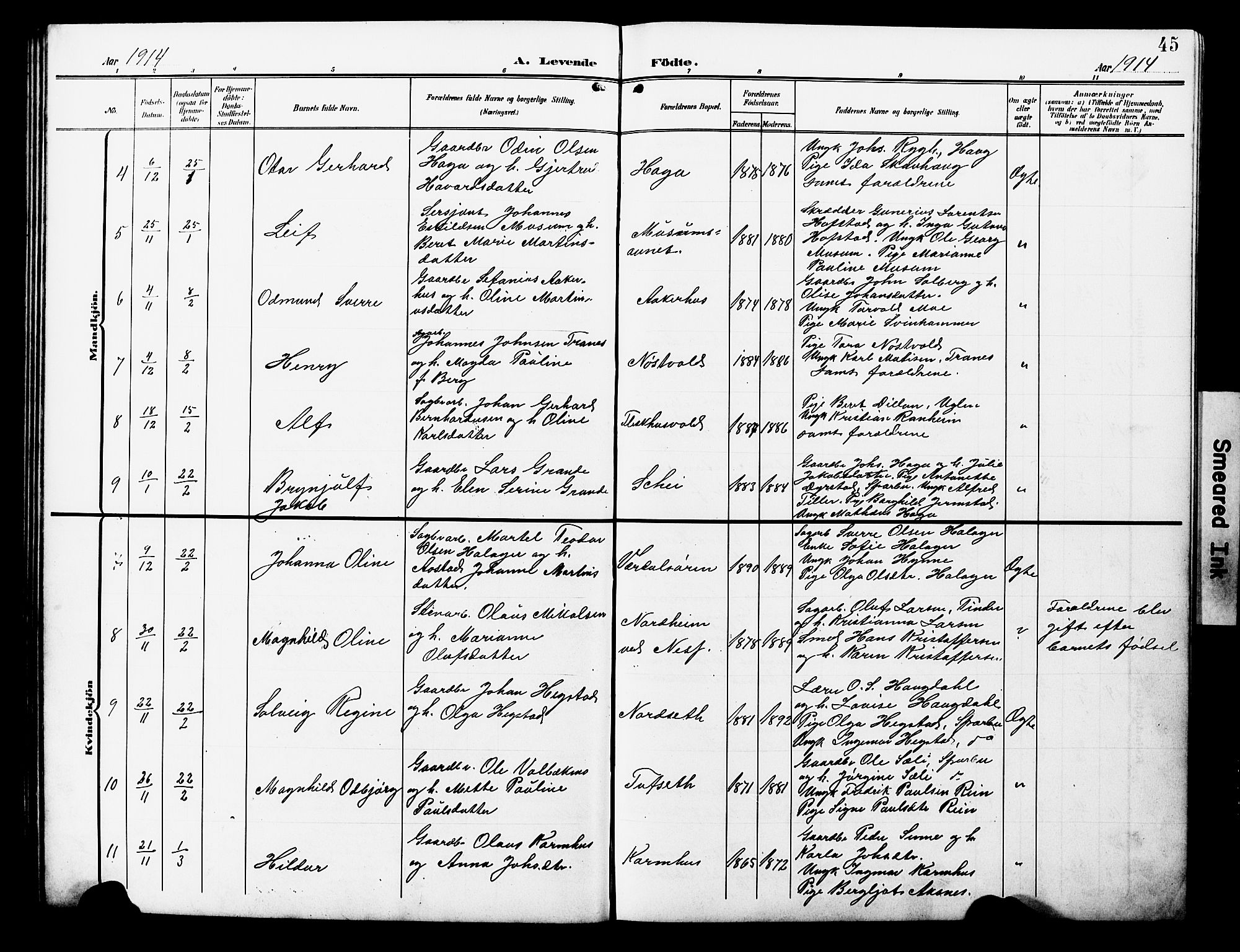 Ministerialprotokoller, klokkerbøker og fødselsregistre - Nord-Trøndelag, AV/SAT-A-1458/723/L0258: Parish register (copy) no. 723C06, 1908-1927, p. 45