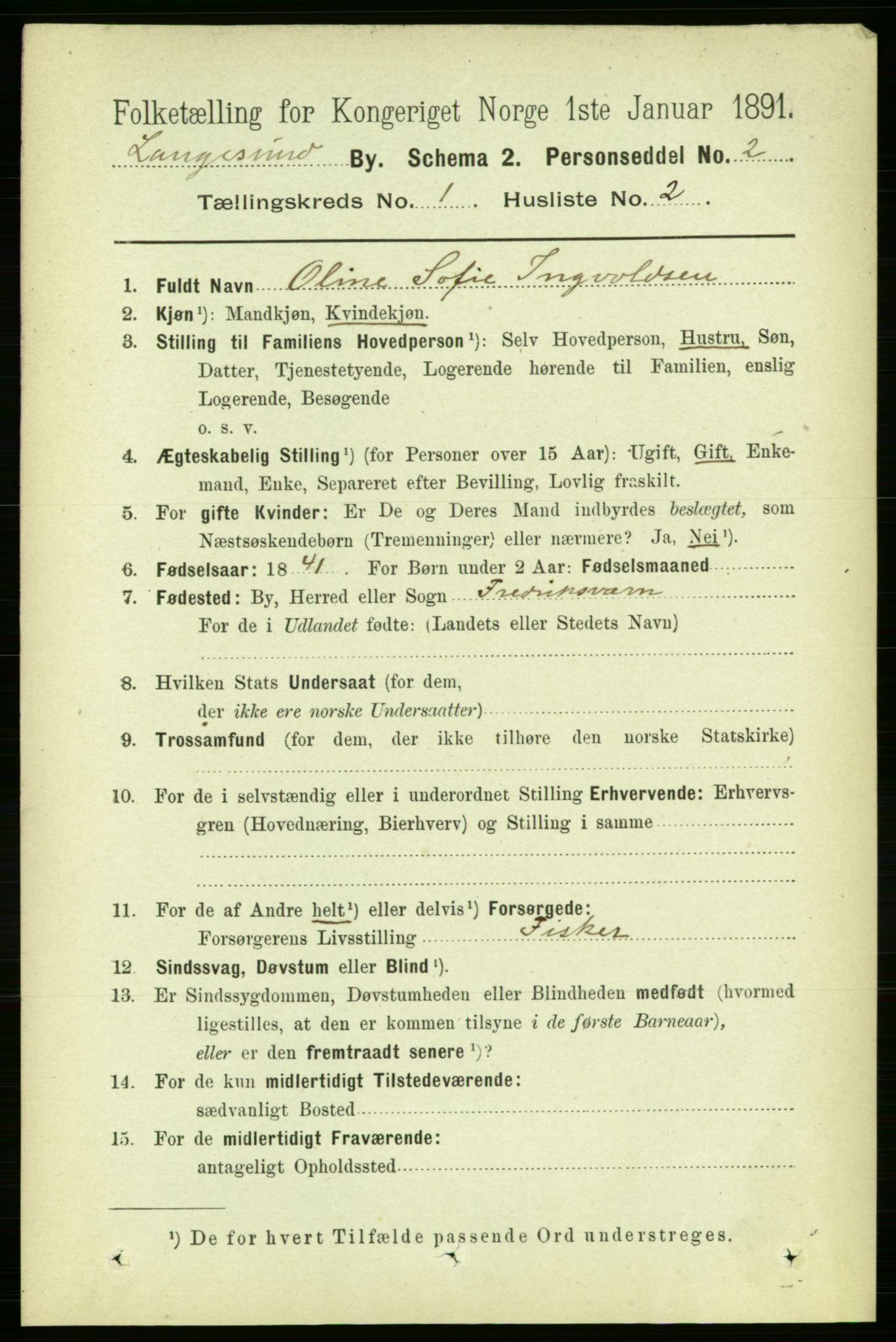 RA, 1891 census for 0802 Langesund, 1891, p. 510