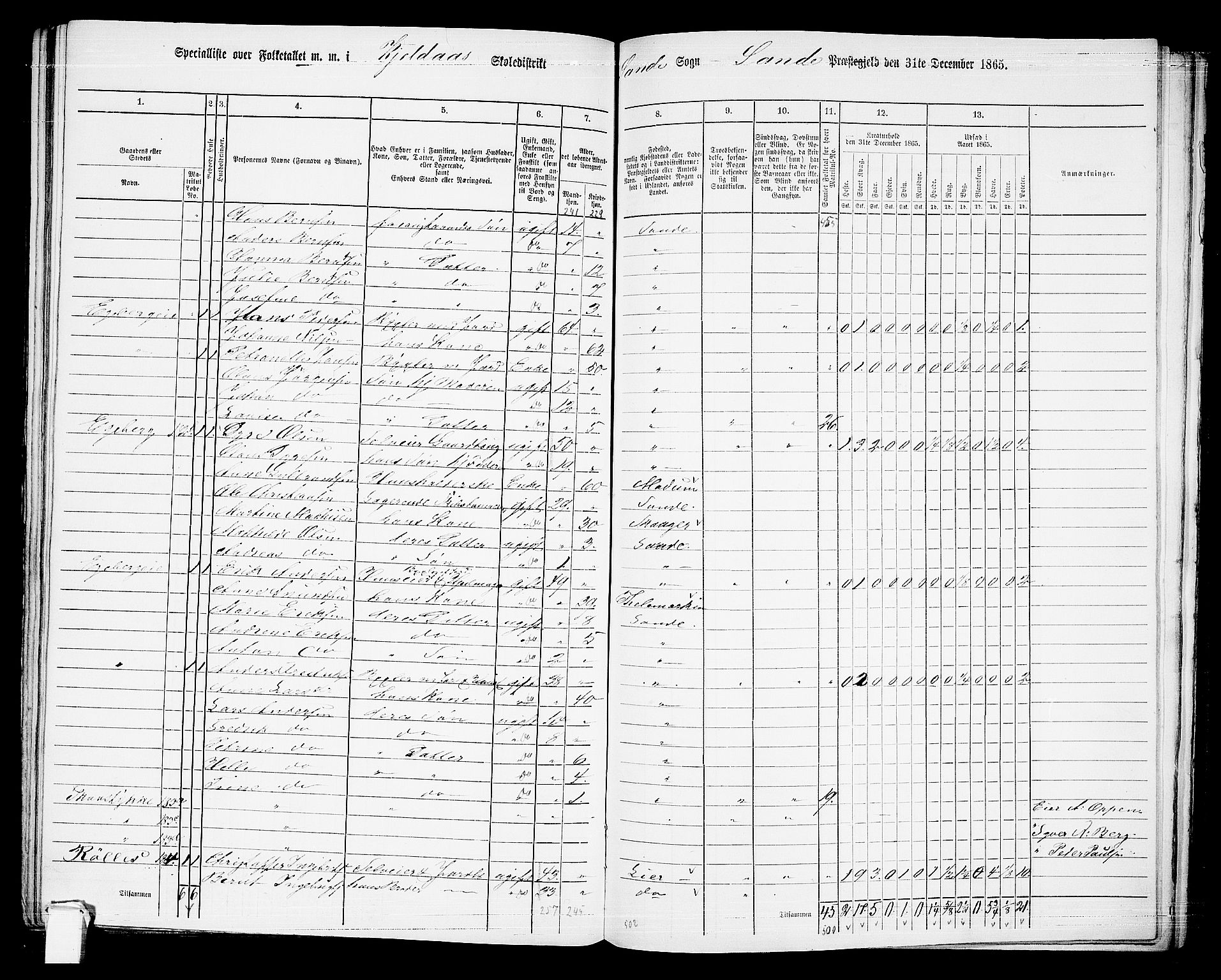 RA, 1865 census for Sande, 1865, p. 104