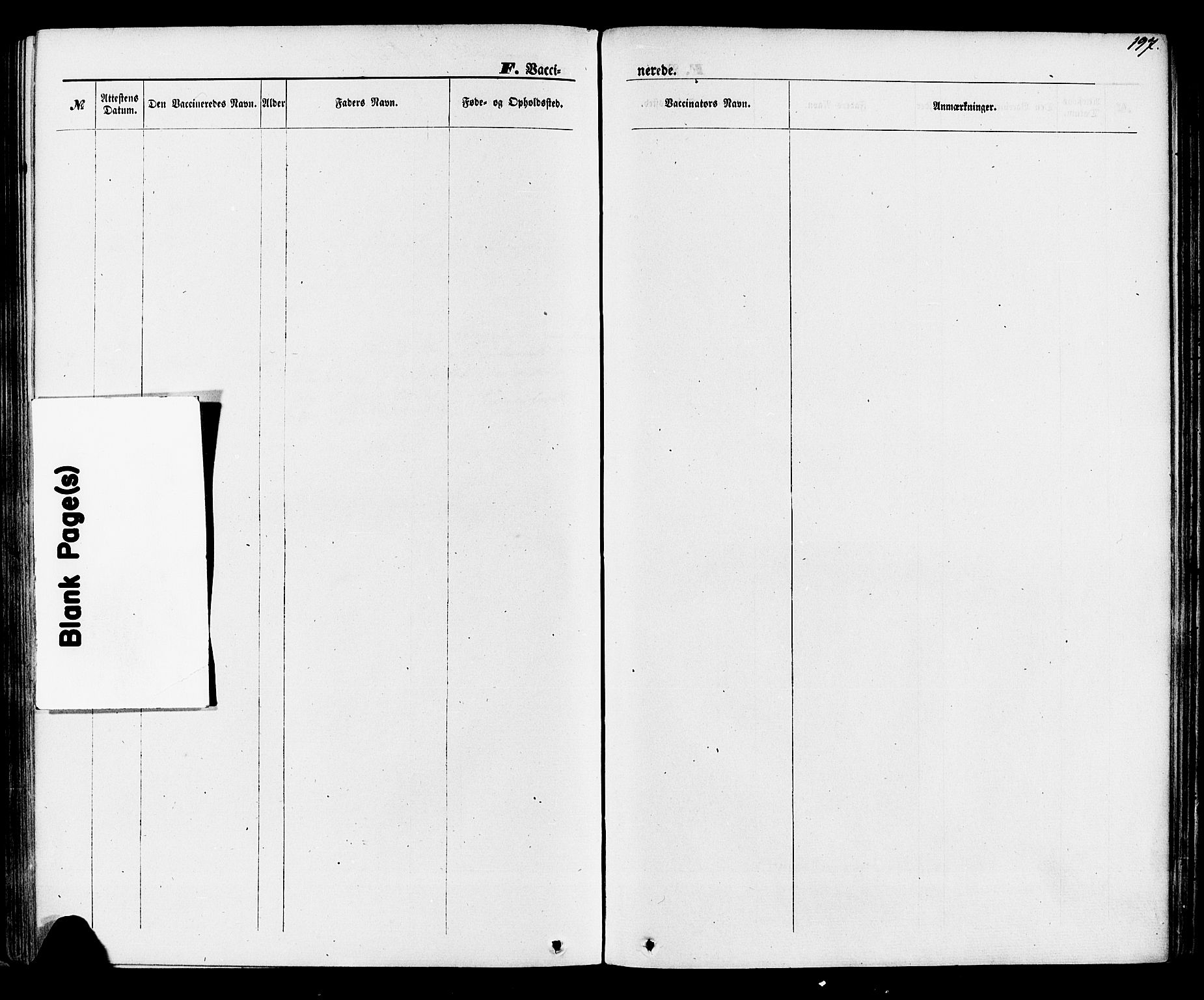 Lunde kirkebøker, SAKO/A-282/F/Fa/L0001: Parish register (official) no. I 1, 1866-1883, p. 197