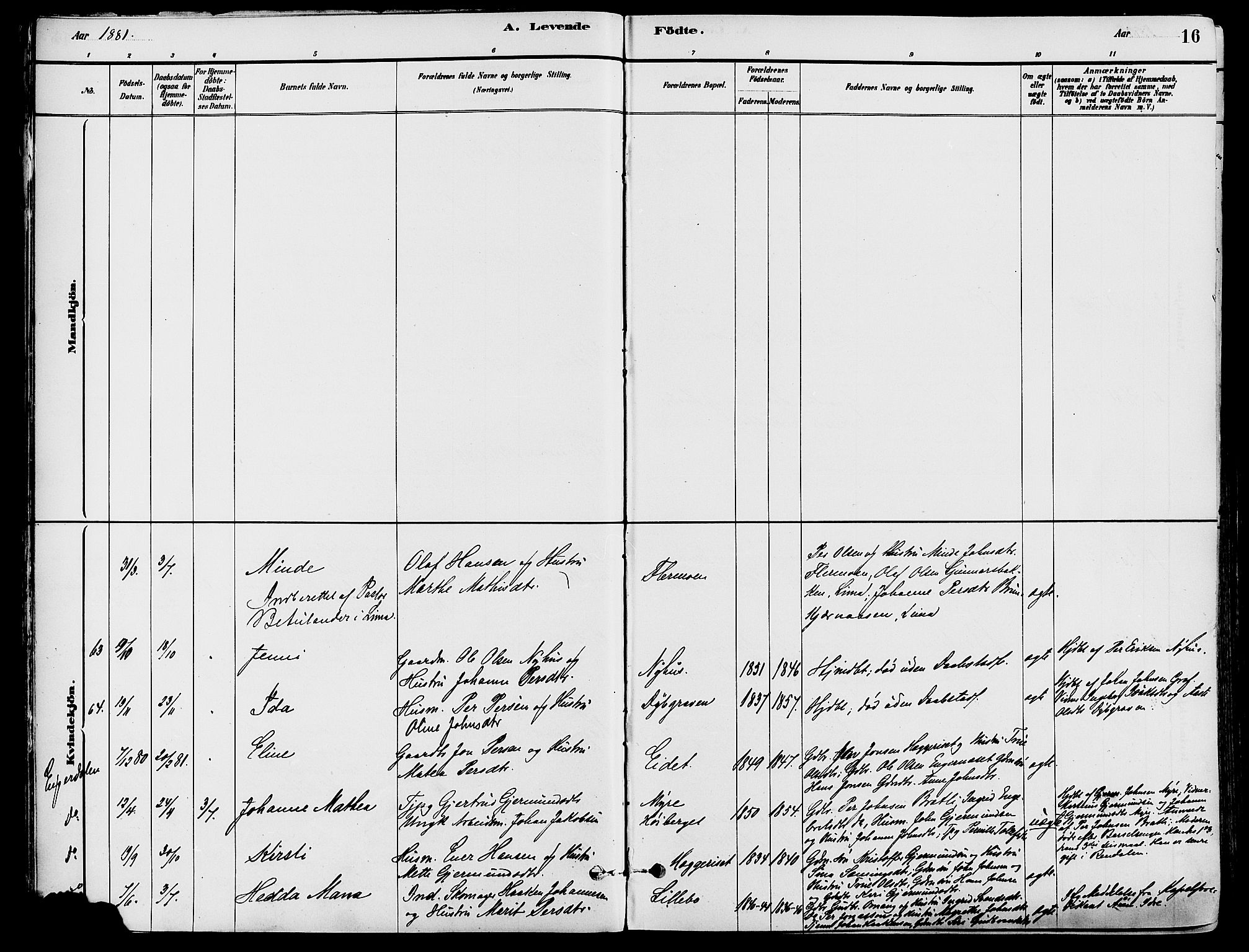 Trysil prestekontor, SAH/PREST-046/H/Ha/Haa/L0008: Parish register (official) no. 8, 1881-1897, p. 16