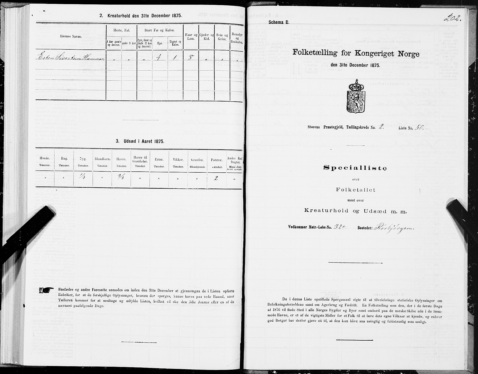 SAT, 1875 census for 1648P Støren, 1875, p. 1202