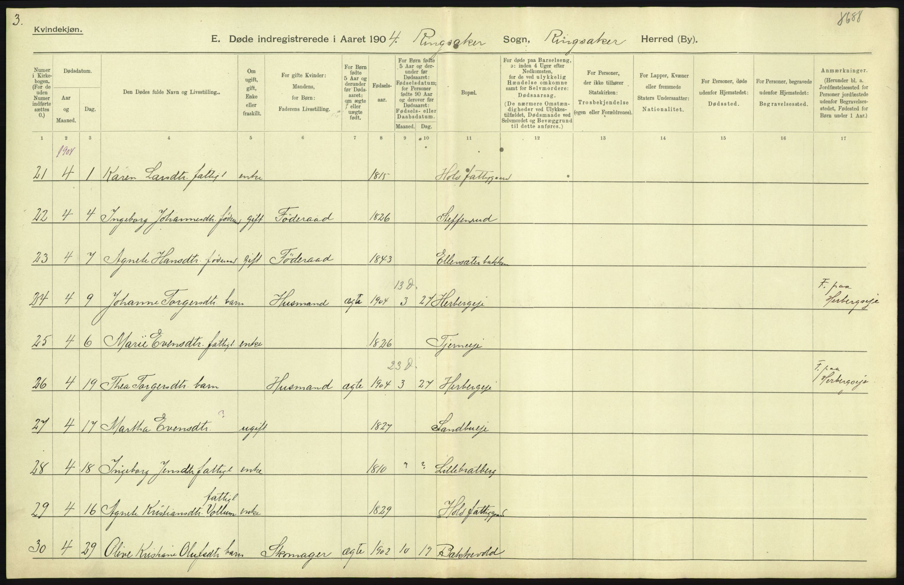 Statistisk sentralbyrå, Sosiodemografiske emner, Befolkning, AV/RA-S-2228/D/Df/Dfa/Dfab/L0005: Hedemarkens amt: Fødte, gifte, døde, 1904, p. 651