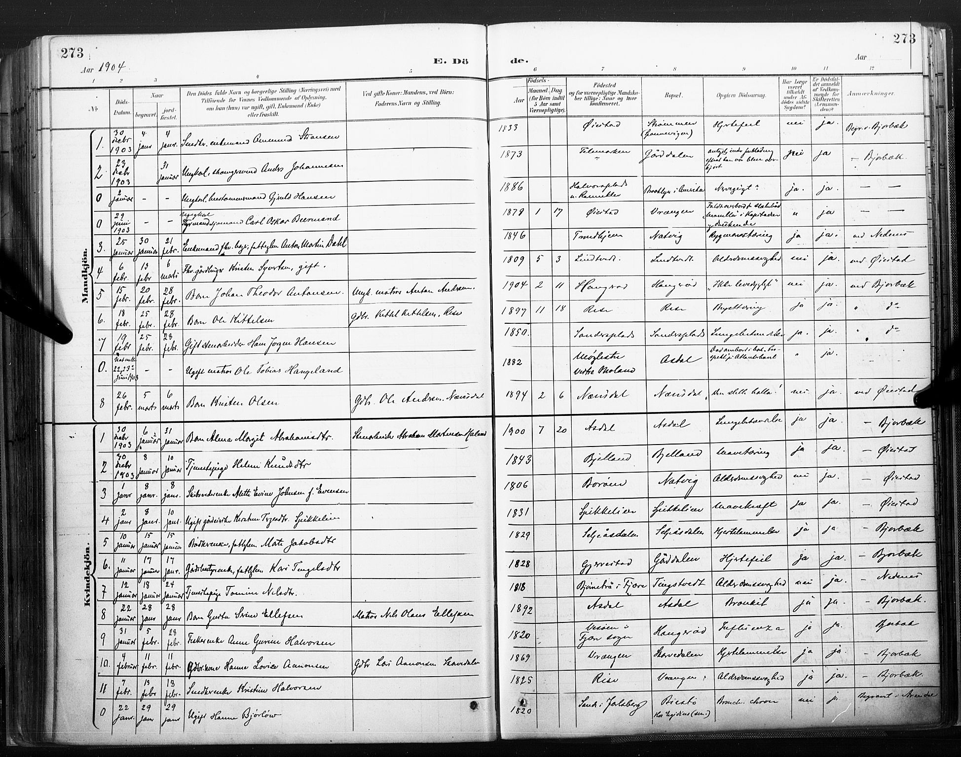 Øyestad sokneprestkontor, SAK/1111-0049/F/Fa/L0018: Parish register (official) no. A 18, 1897-1907, p. 273