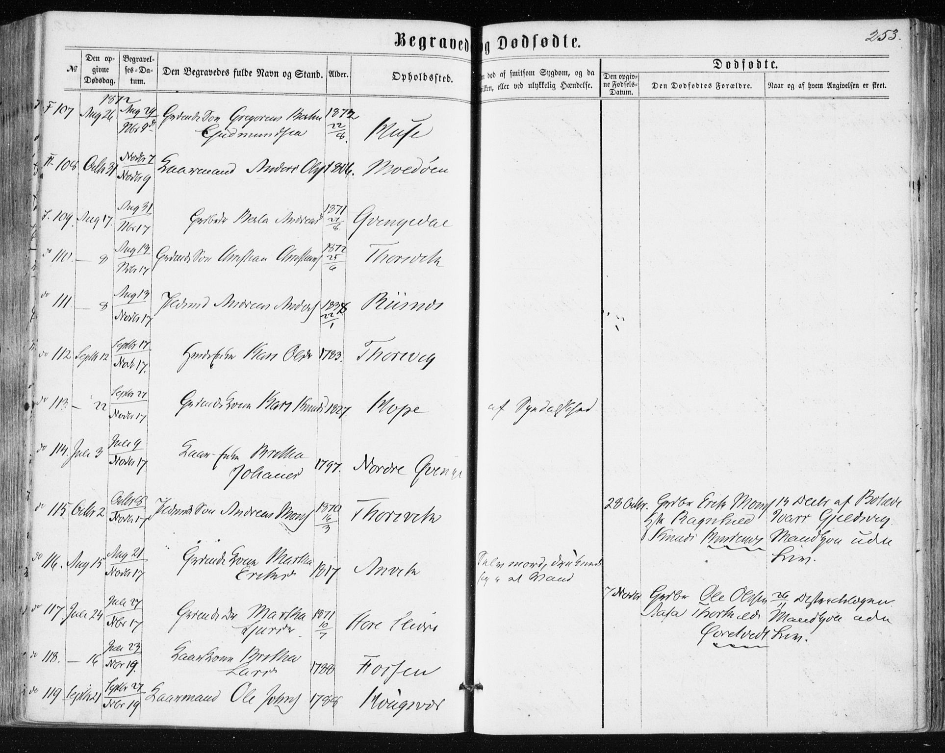 Lindås Sokneprestembete, SAB/A-76701/H/Haa: Parish register (official) no. A 16, 1863-1875, p. 253