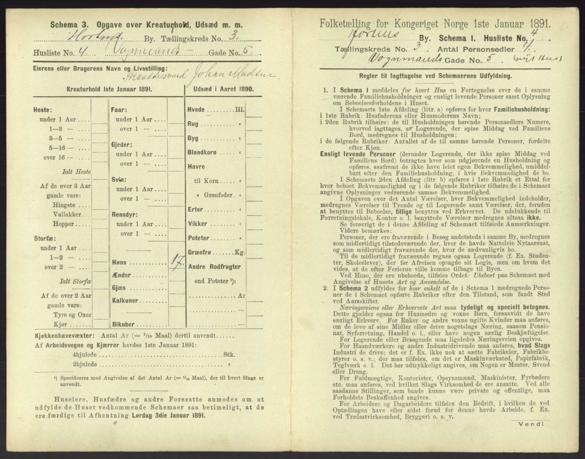 RA, 1891 census for 0703 Horten, 1891, p. 293