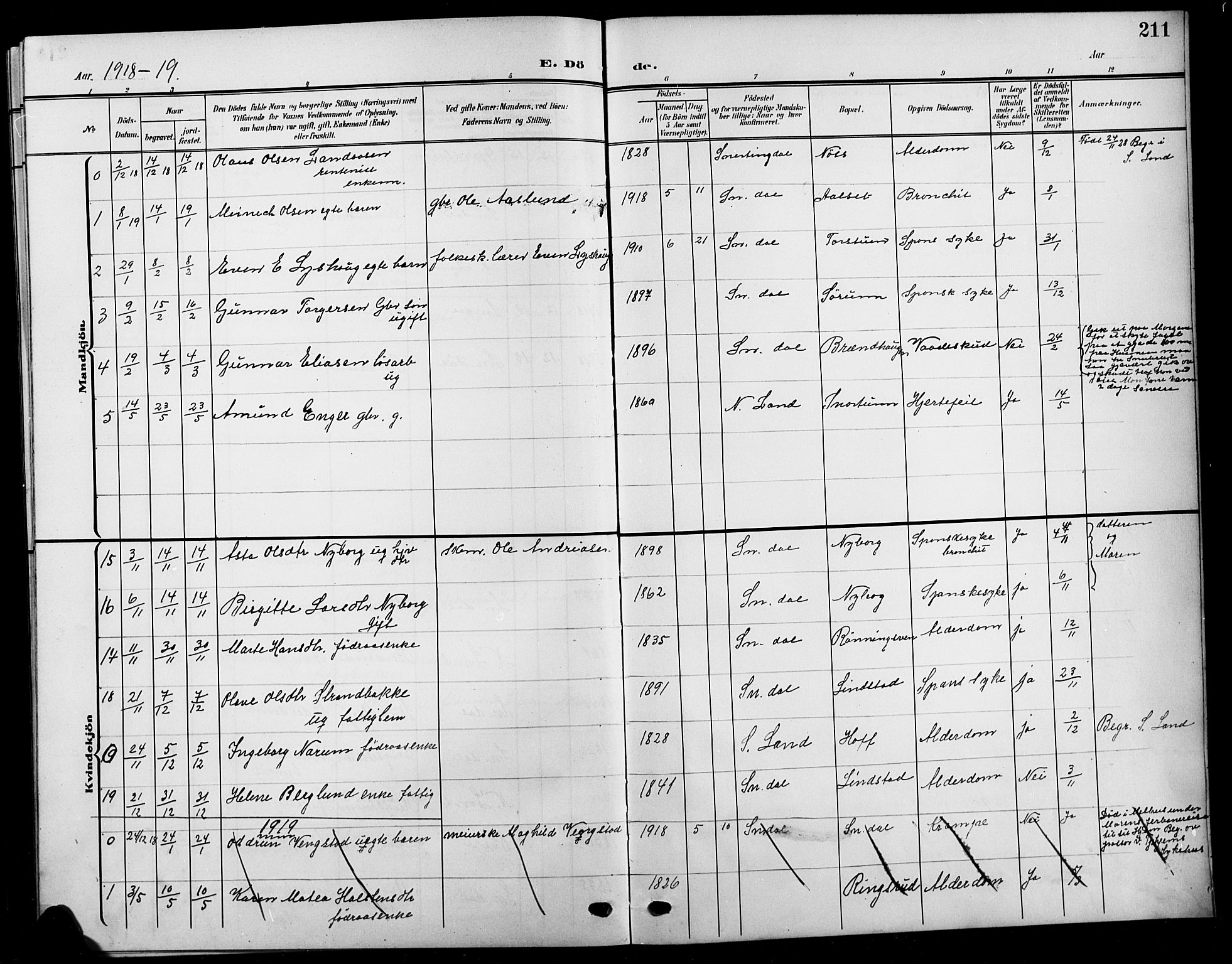 Biri prestekontor, SAH/PREST-096/H/Ha/Hab/L0005: Parish register (copy) no. 5, 1906-1919, p. 211