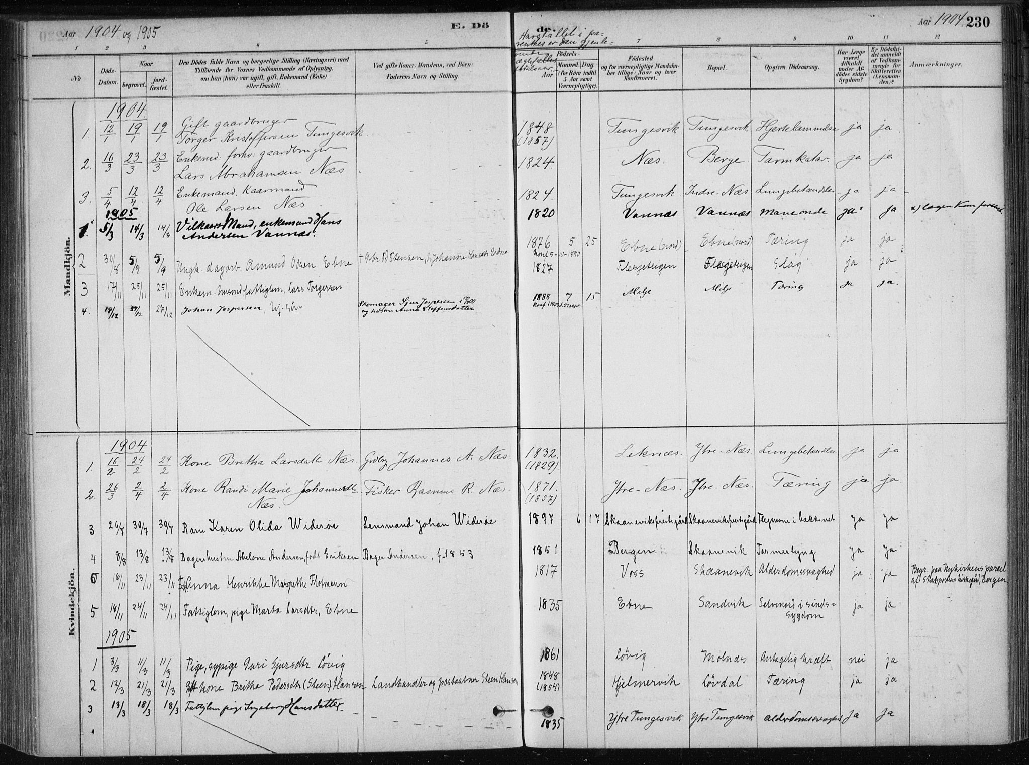 Skånevik sokneprestembete, AV/SAB-A-77801/H/Haa: Parish register (official) no. B 1, 1879-1914, p. 230