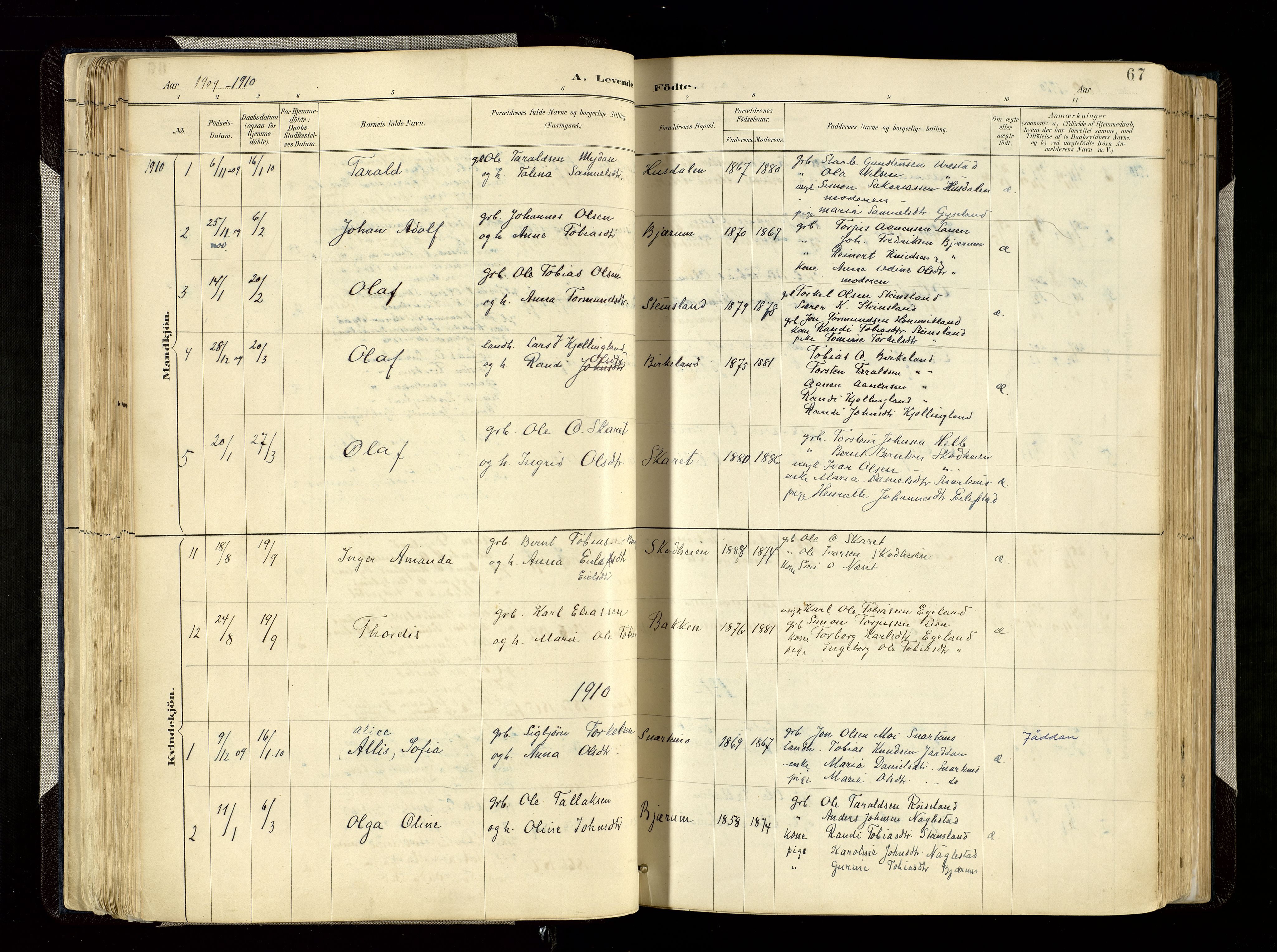 Hægebostad sokneprestkontor, AV/SAK-1111-0024/F/Fa/Faa/L0006: Parish register (official) no. A 6, 1887-1929, p. 67