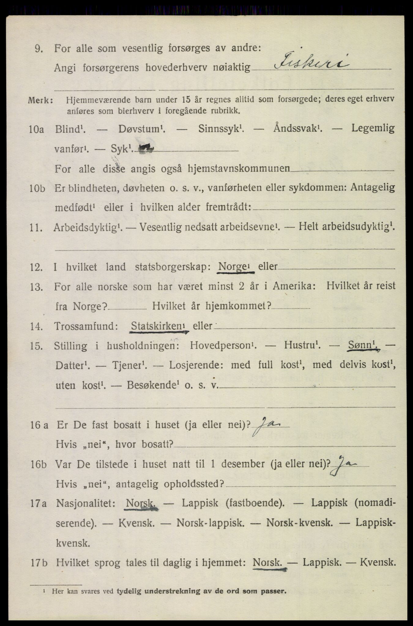 SAT, 1920 census for Bodin, 1920, p. 8461