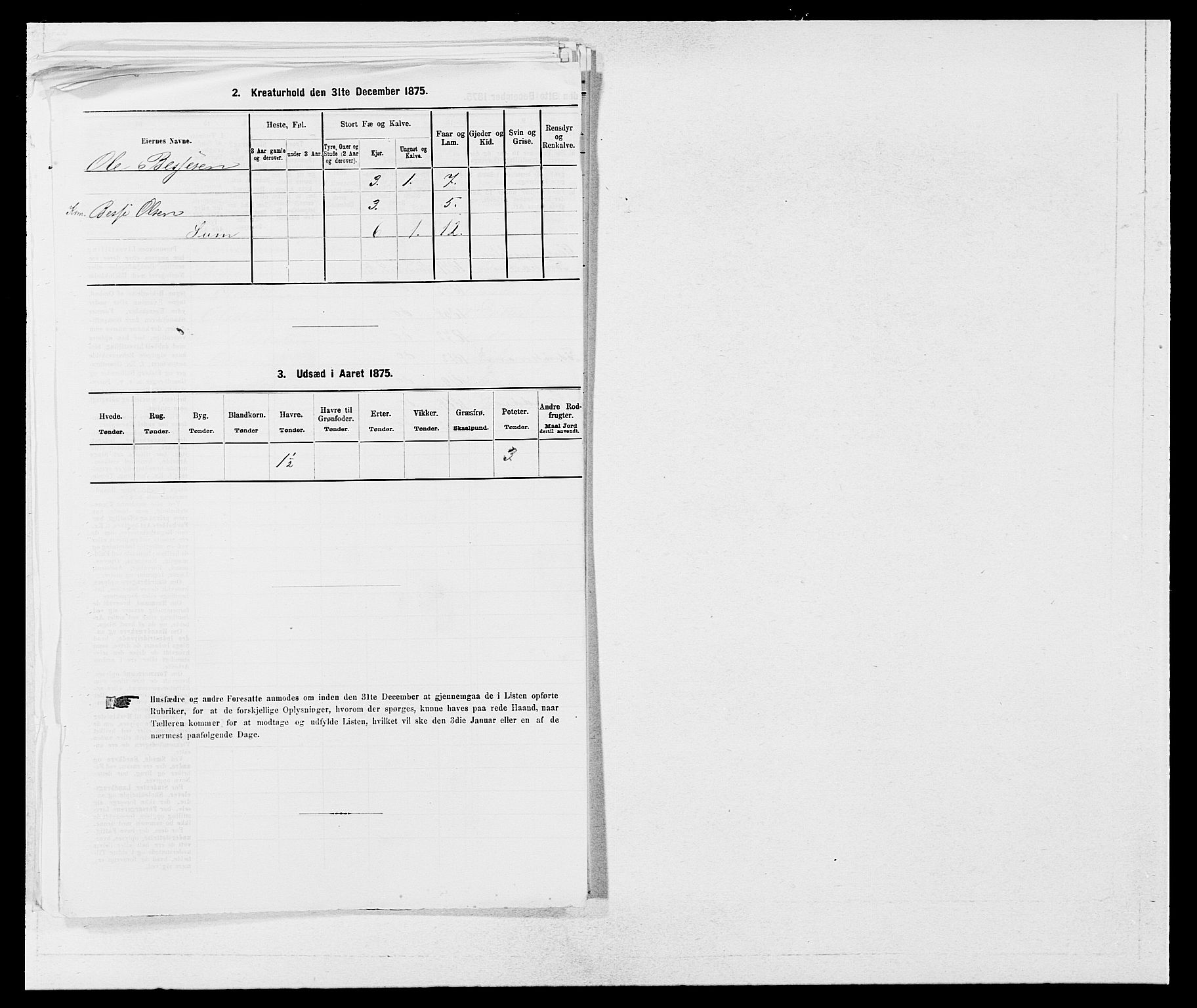 SAB, 1875 census for 1251P Bruvik, 1875, p. 355