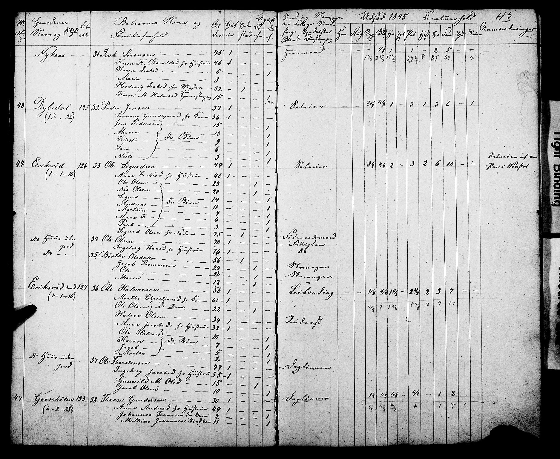 , Census 1845 for Gjerpen, 1845, p. 43