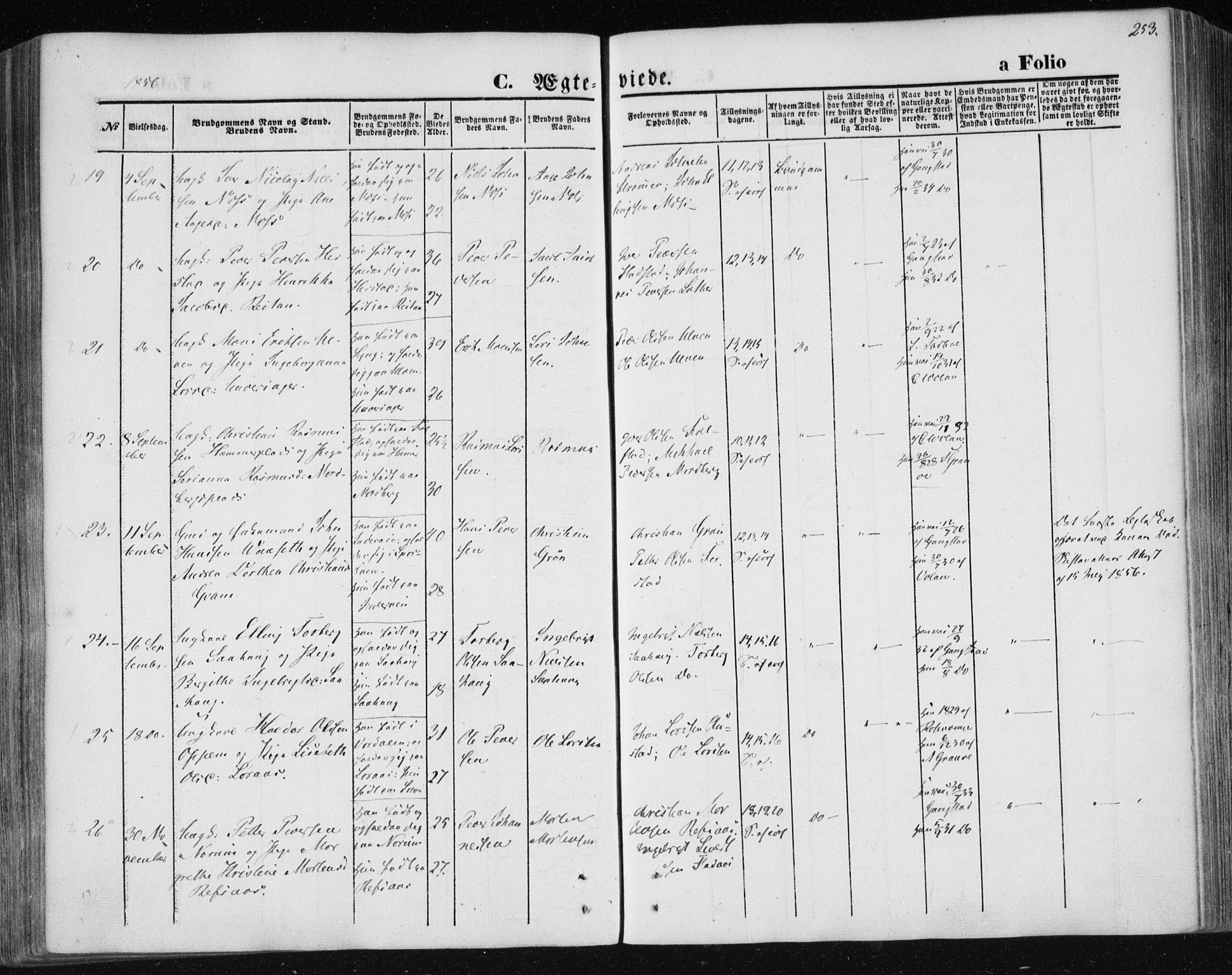 Ministerialprotokoller, klokkerbøker og fødselsregistre - Nord-Trøndelag, SAT/A-1458/730/L0283: Parish register (official) no. 730A08, 1855-1865, p. 253