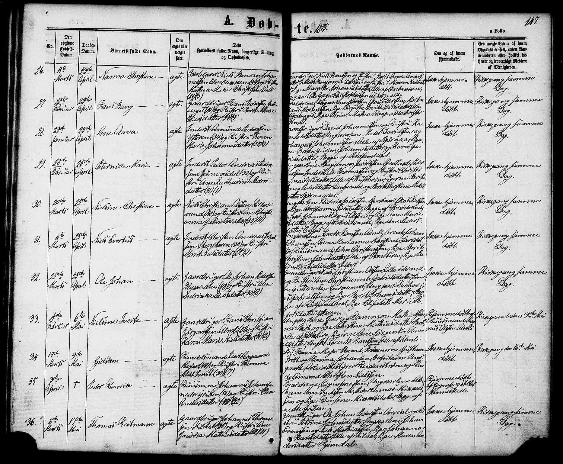 Ministerialprotokoller, klokkerbøker og fødselsregistre - Nordland, AV/SAT-A-1459/827/L0393: Parish register (official) no. 827A05, 1863-1883, p. 147