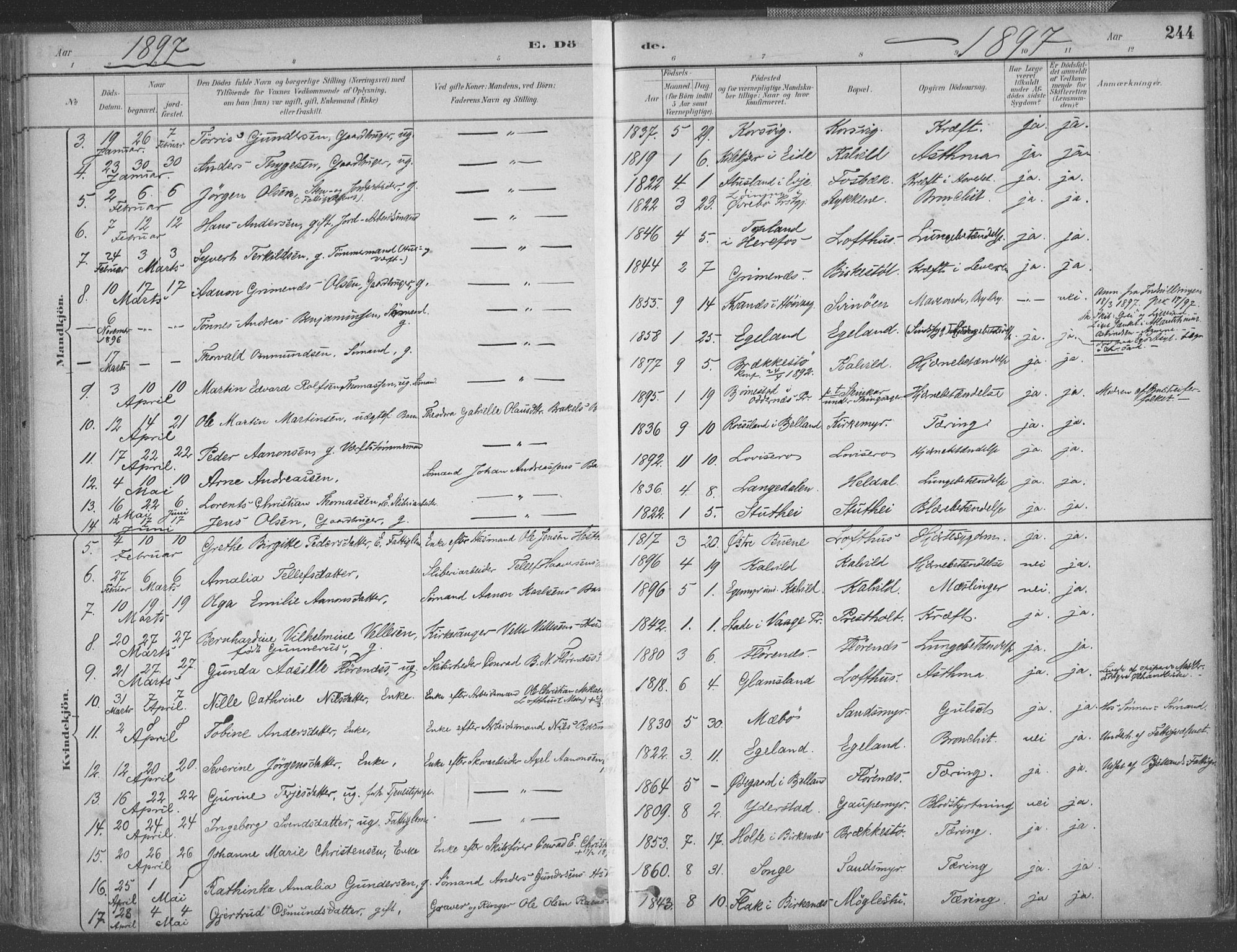 Vestre Moland sokneprestkontor, AV/SAK-1111-0046/F/Fa/Fab/L0009: Parish register (official) no. A 9, 1884-1899, p. 244