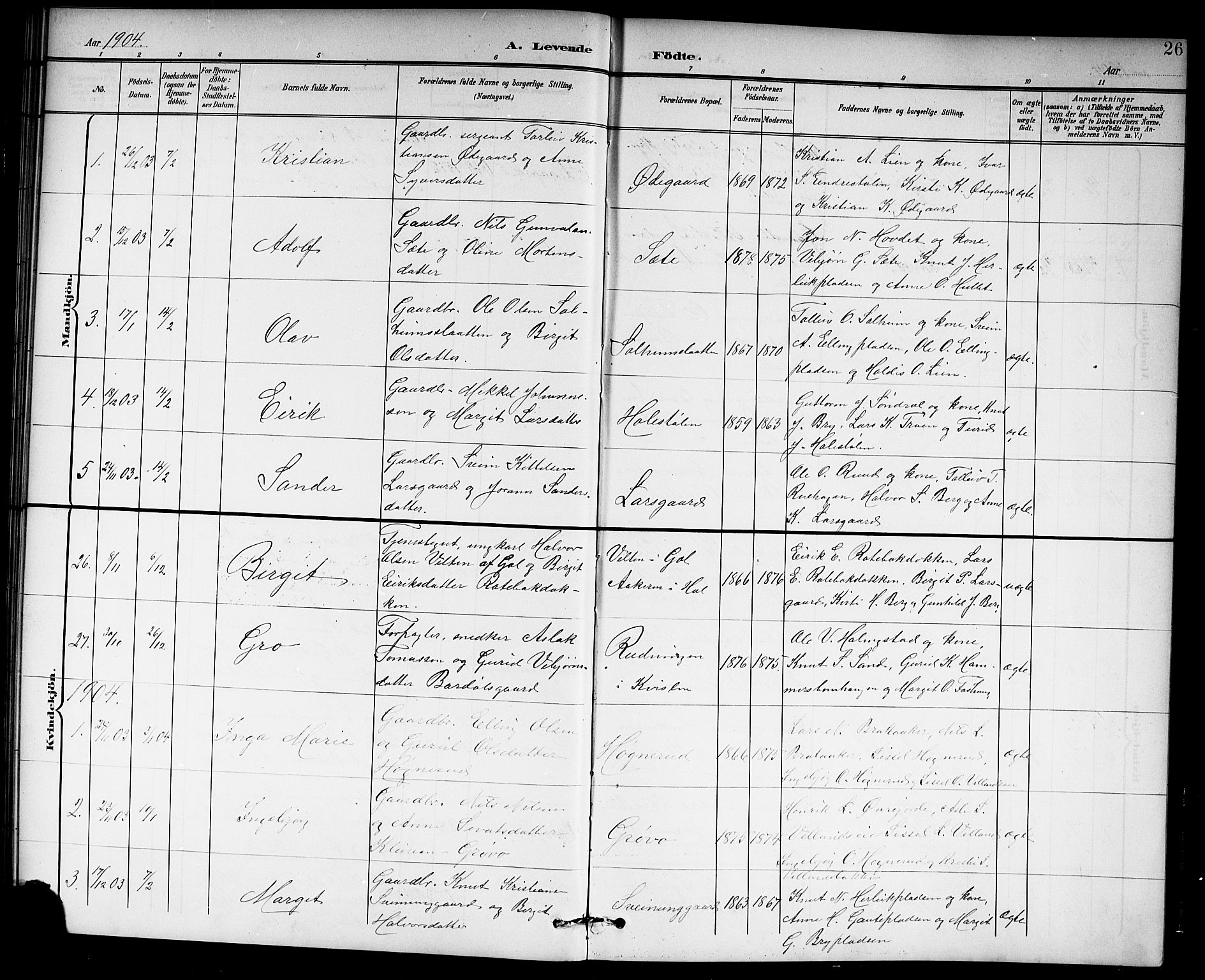 Hol kirkebøker, AV/SAKO-A-227/G/Ga/L0001: Parish register (copy) no. I 1, 1900-1919, p. 26