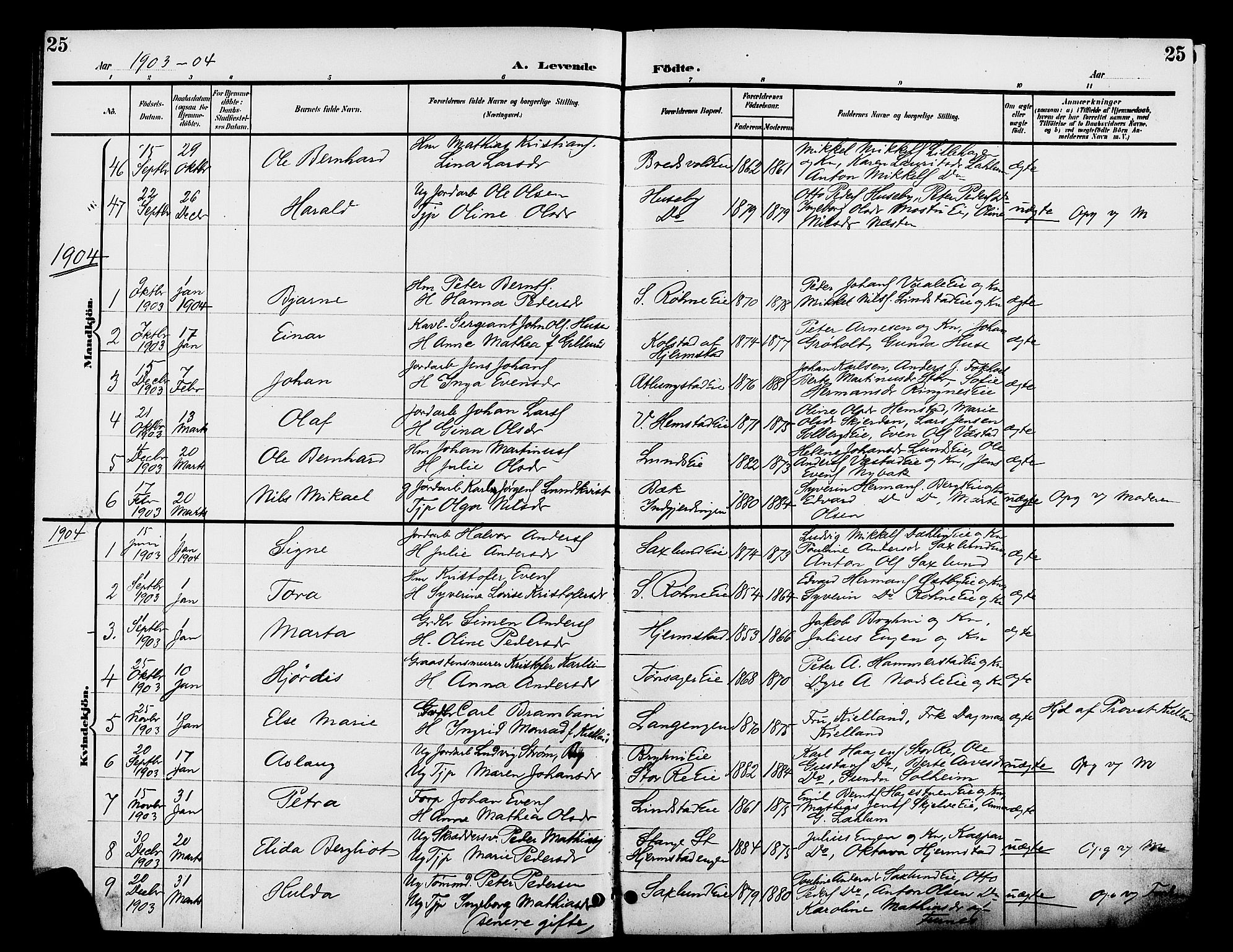 Stange prestekontor, SAH/PREST-002/L/L0012: Parish register (copy) no. 12, 1900-1908, p. 25