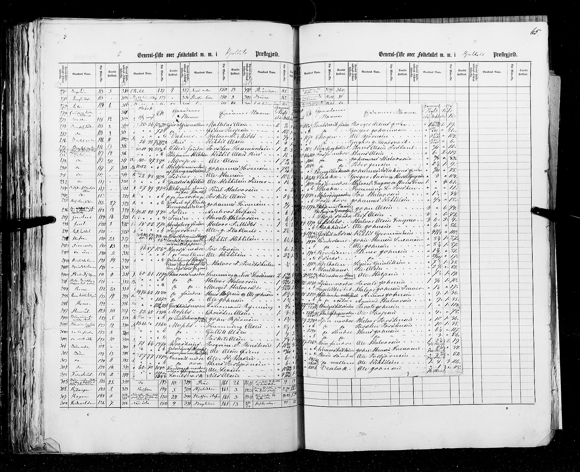 RA, Census 1855, vol. 3: Bratsberg amt, Nedenes amt og Lister og Mandal amt, 1855, p. 65