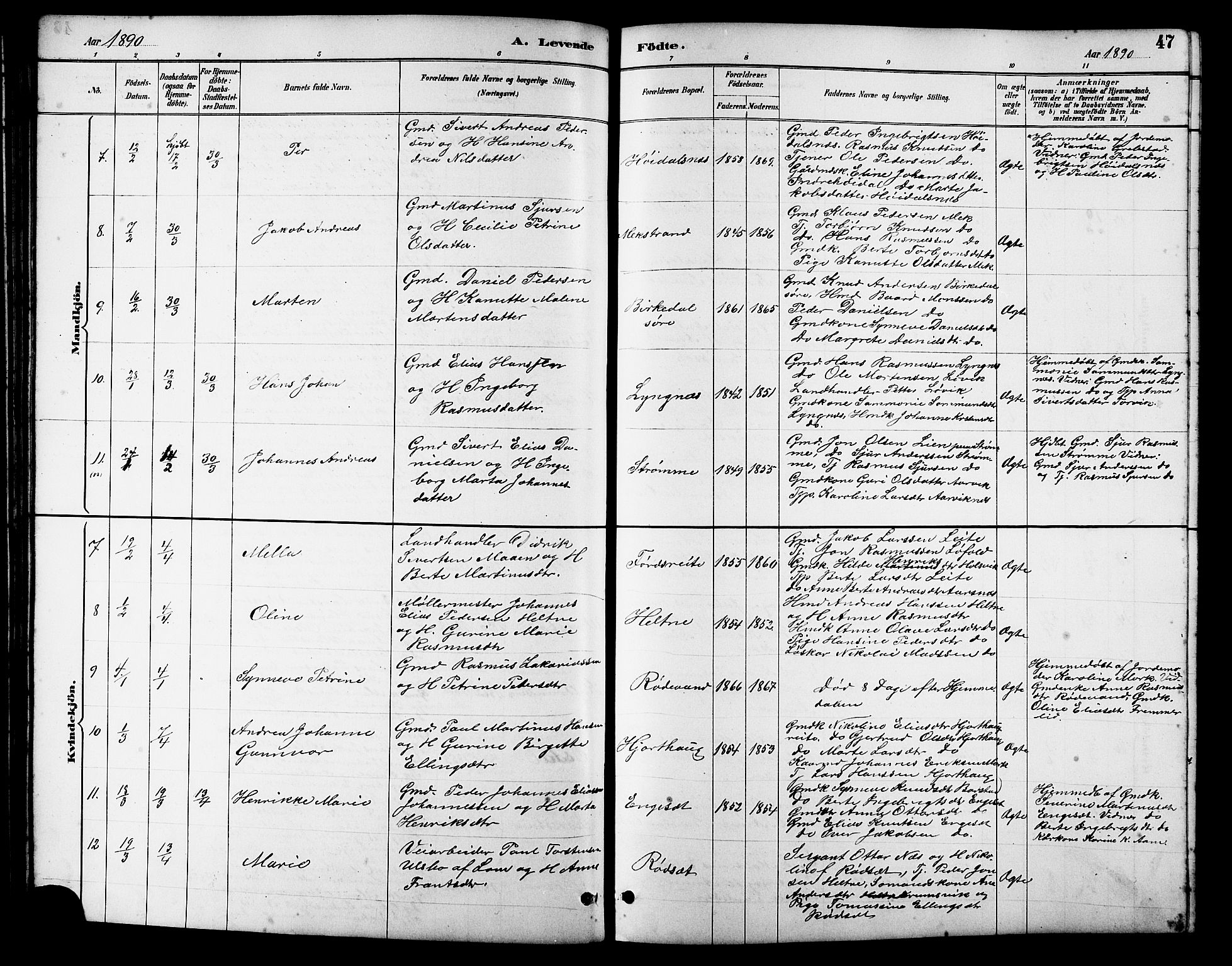 Ministerialprotokoller, klokkerbøker og fødselsregistre - Møre og Romsdal, AV/SAT-A-1454/511/L0158: Parish register (copy) no. 511C04, 1884-1903, p. 47