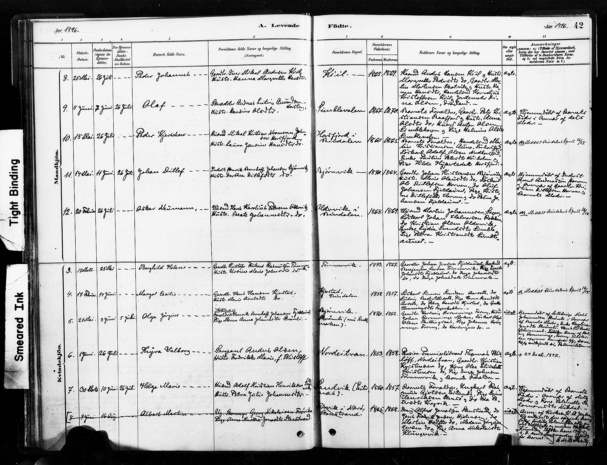 Ministerialprotokoller, klokkerbøker og fødselsregistre - Nord-Trøndelag, SAT/A-1458/789/L0705: Parish register (official) no. 789A01, 1878-1910, p. 42