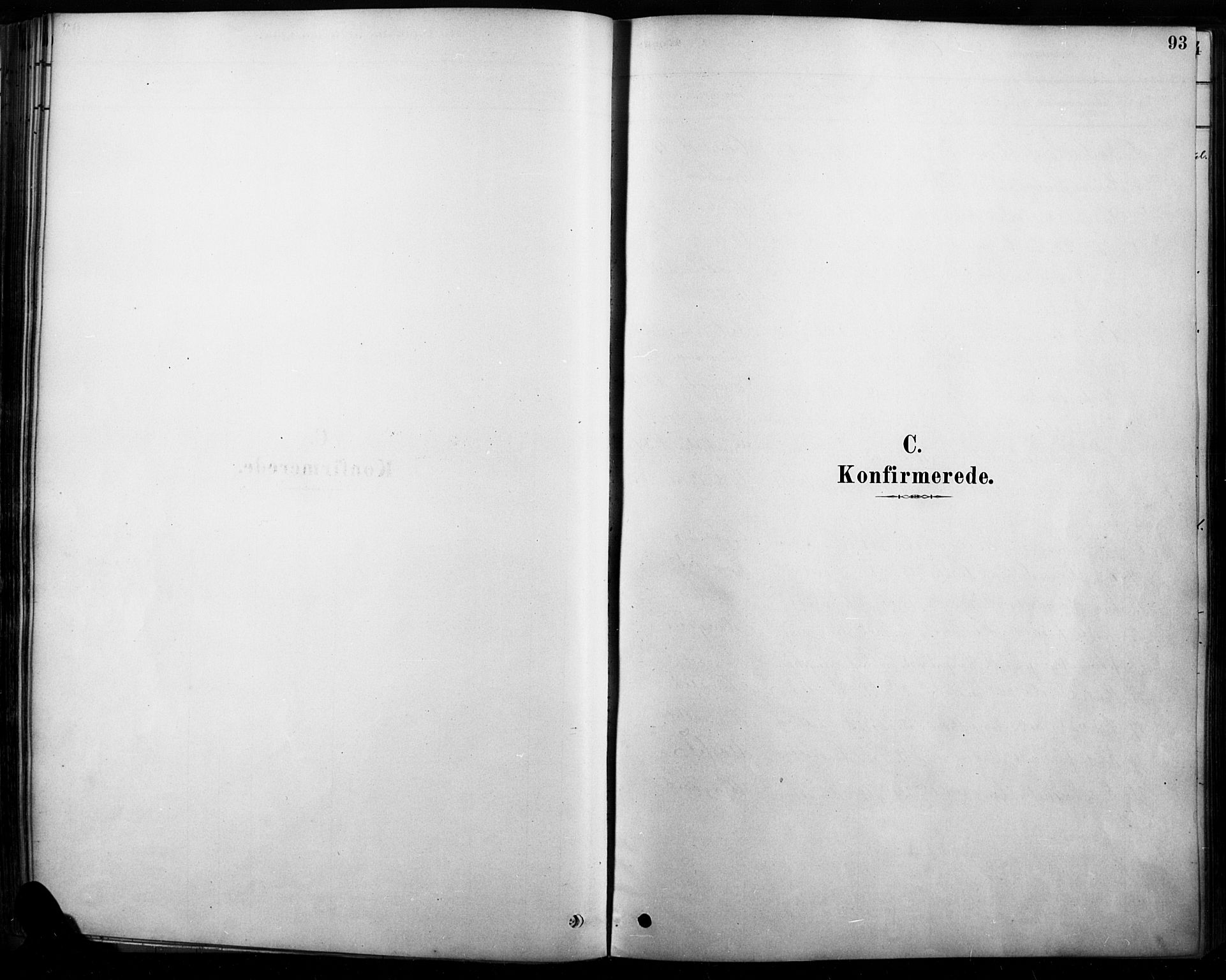 Rendalen prestekontor, SAH/PREST-054/H/Ha/Haa/L0009: Parish register (official) no. 9, 1878-1901, p. 93