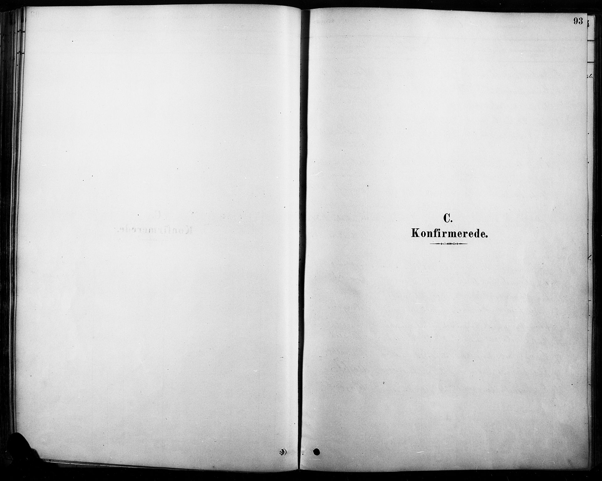 Rendalen prestekontor, AV/SAH-PREST-054/H/Ha/Haa/L0009: Parish register (official) no. 9, 1878-1901, p. 93