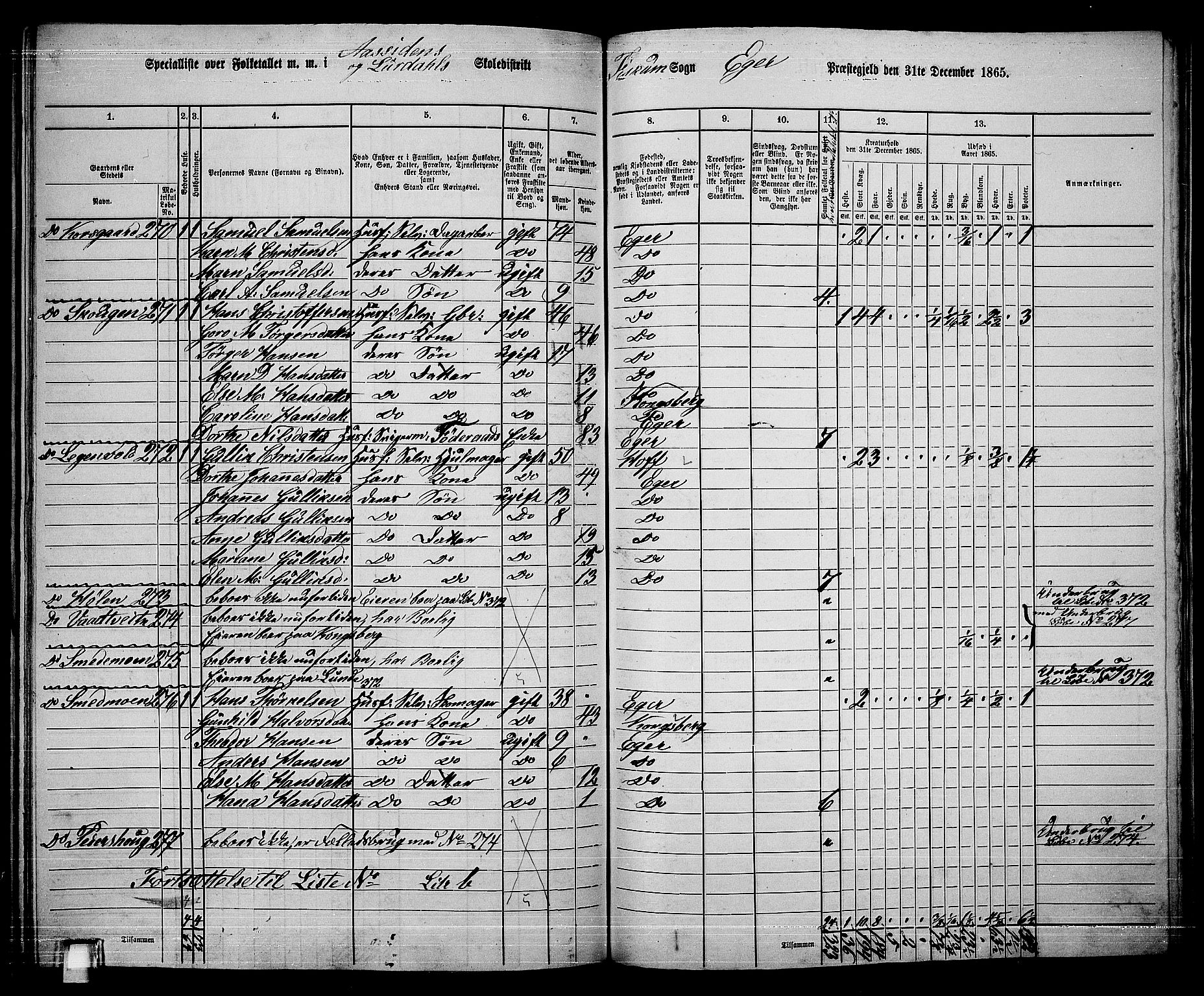 RA, 1865 census for Eiker, 1865, p. 507