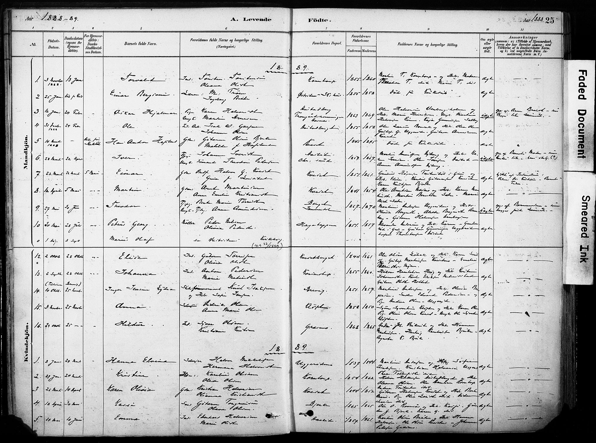 Hof prestekontor, AV/SAH-PREST-038/H/Ha/Haa/L0011: Parish register (official) no. 11, 1879-1911, p. 25