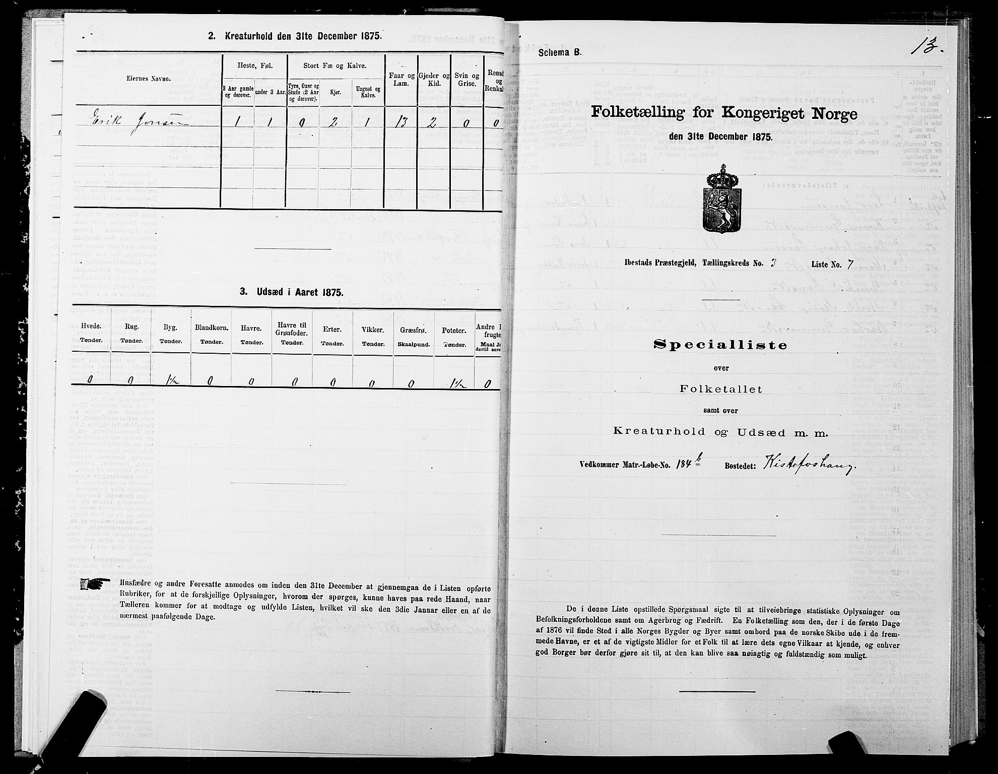 SATØ, 1875 census for 1917P Ibestad, 1875, p. 2013