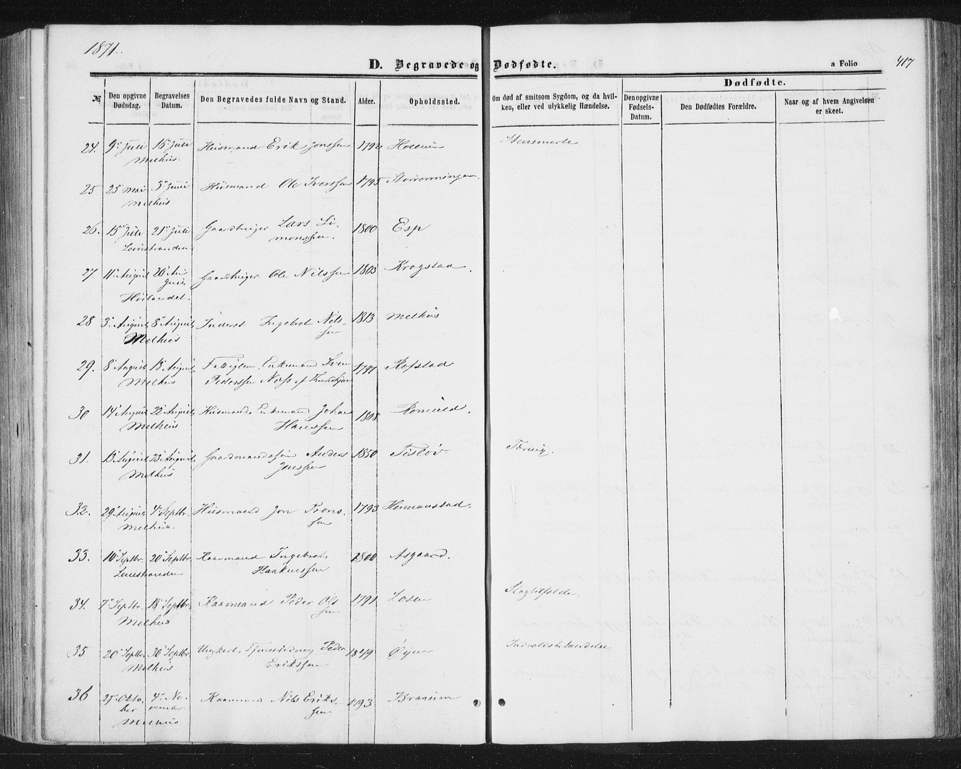 Ministerialprotokoller, klokkerbøker og fødselsregistre - Sør-Trøndelag, AV/SAT-A-1456/691/L1077: Parish register (official) no. 691A09, 1862-1873, p. 417