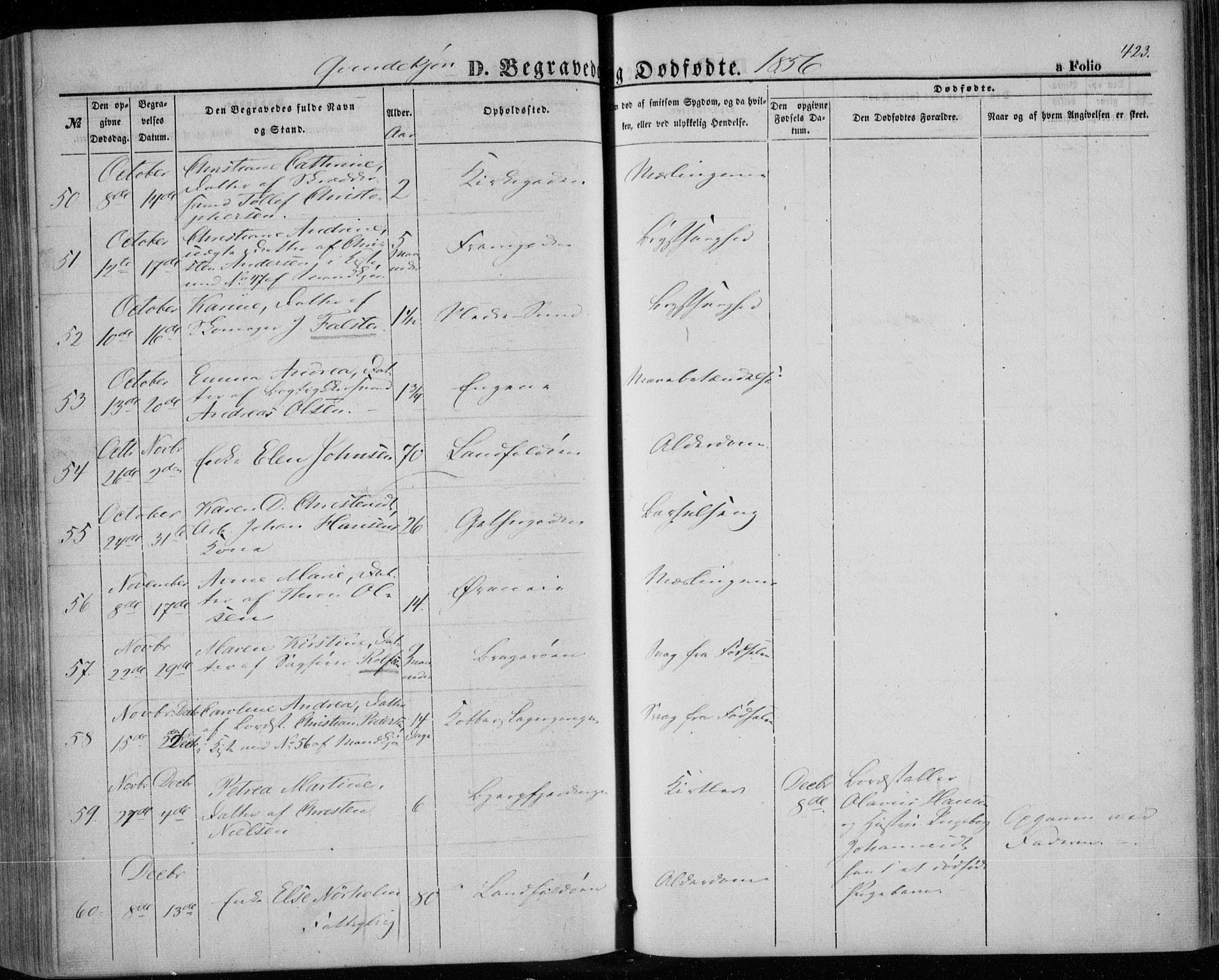 Bragernes kirkebøker, AV/SAKO-A-6/F/Fb/L0002: Parish register (official) no. II 2, 1848-1859, p. 423