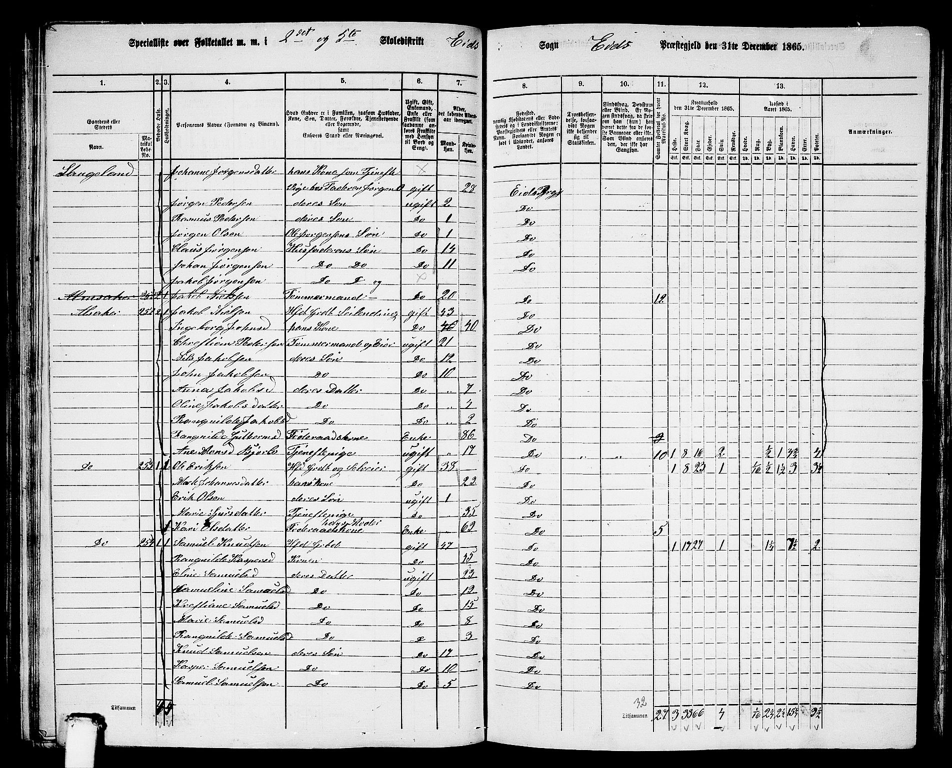 RA, 1865 census for Eid, 1865, p. 100