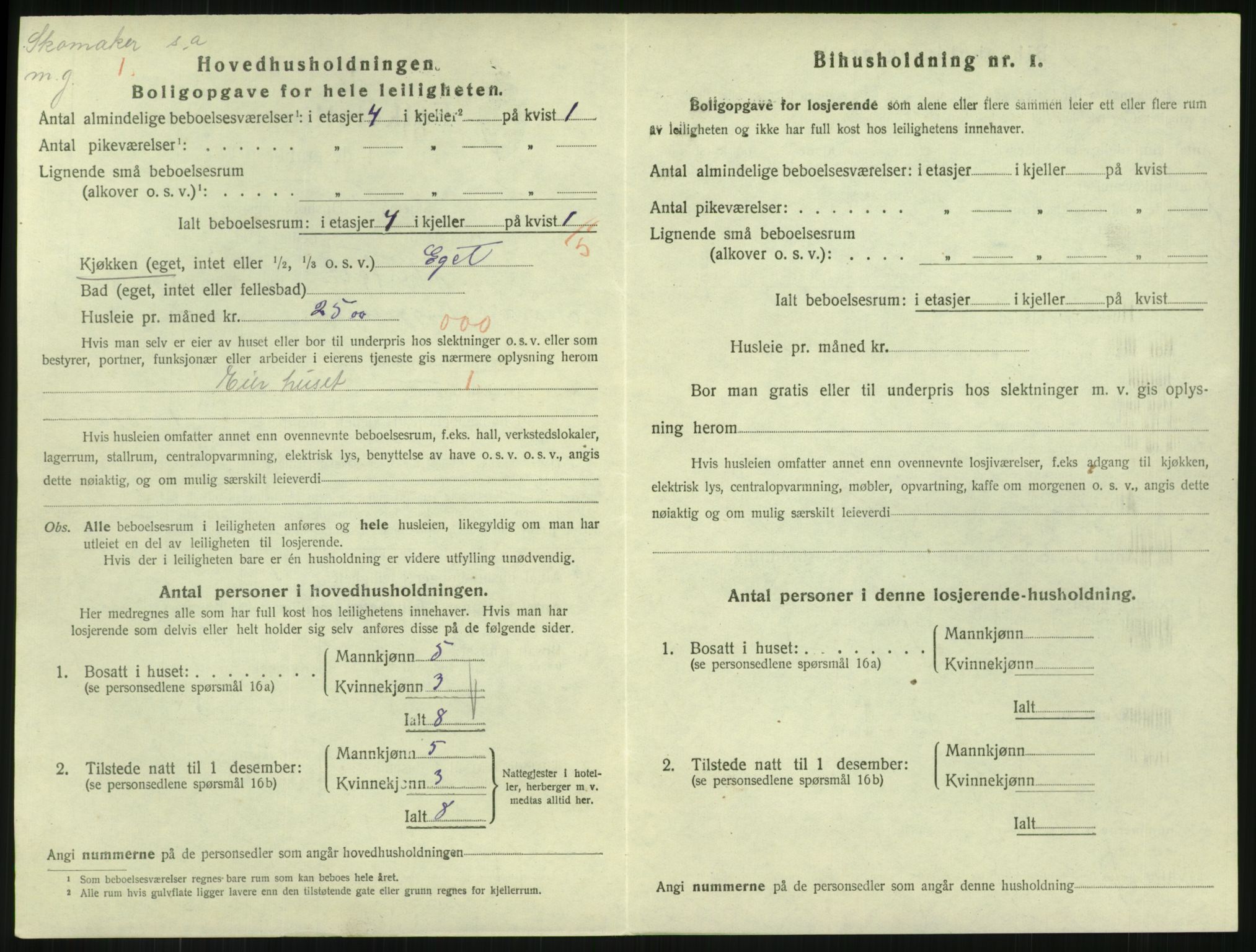 SAKO, 1920 census for Horten, 1920, p. 6070