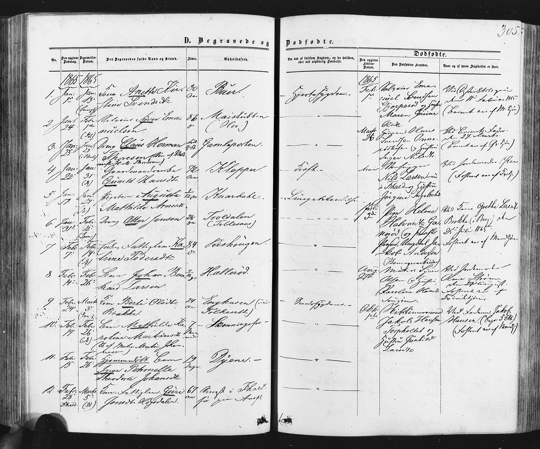 Idd prestekontor Kirkebøker, SAO/A-10911/F/Fc/L0005: Parish register (official) no. III 5, 1861-1877, p. 305